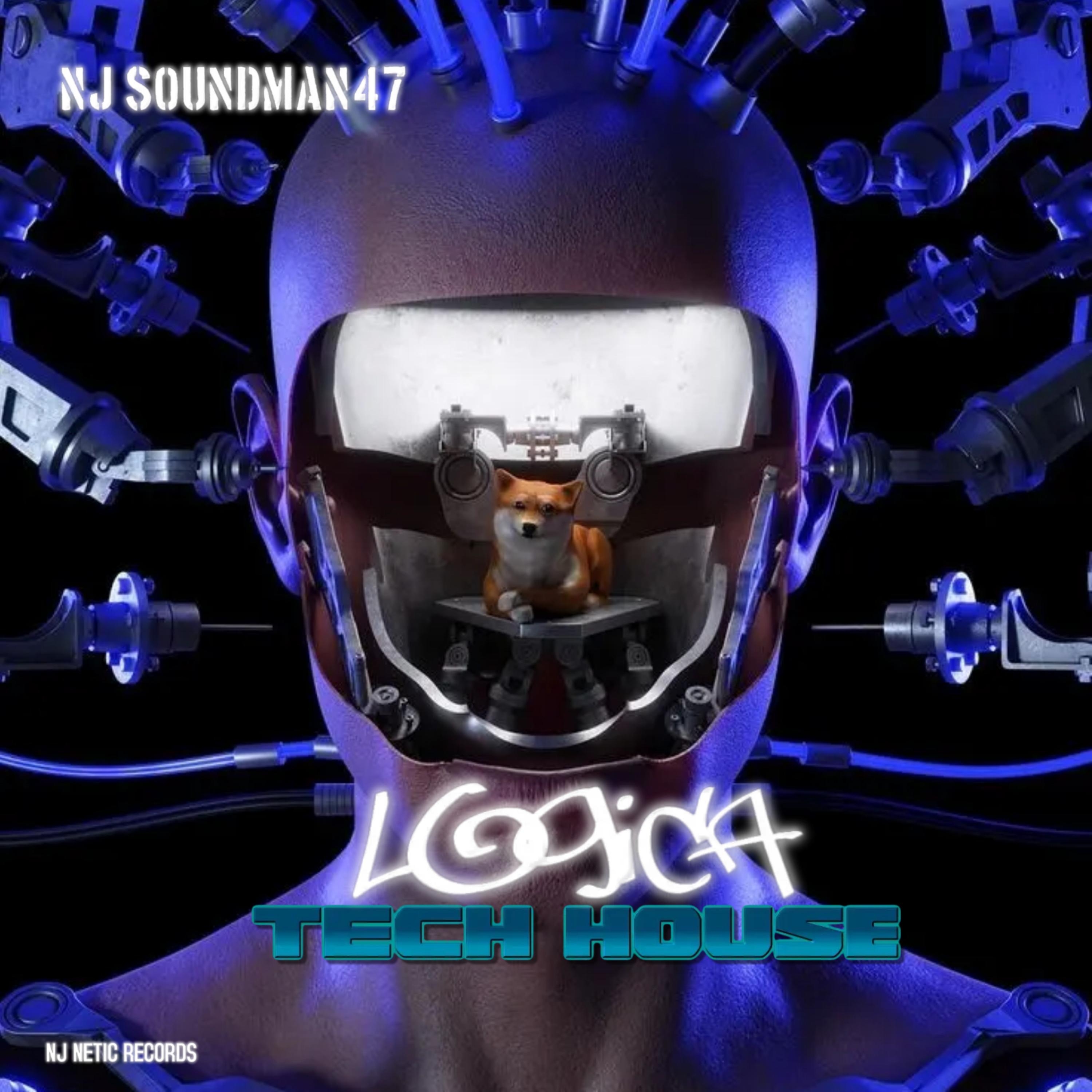 LOGICA TECH HOUSE artwork
