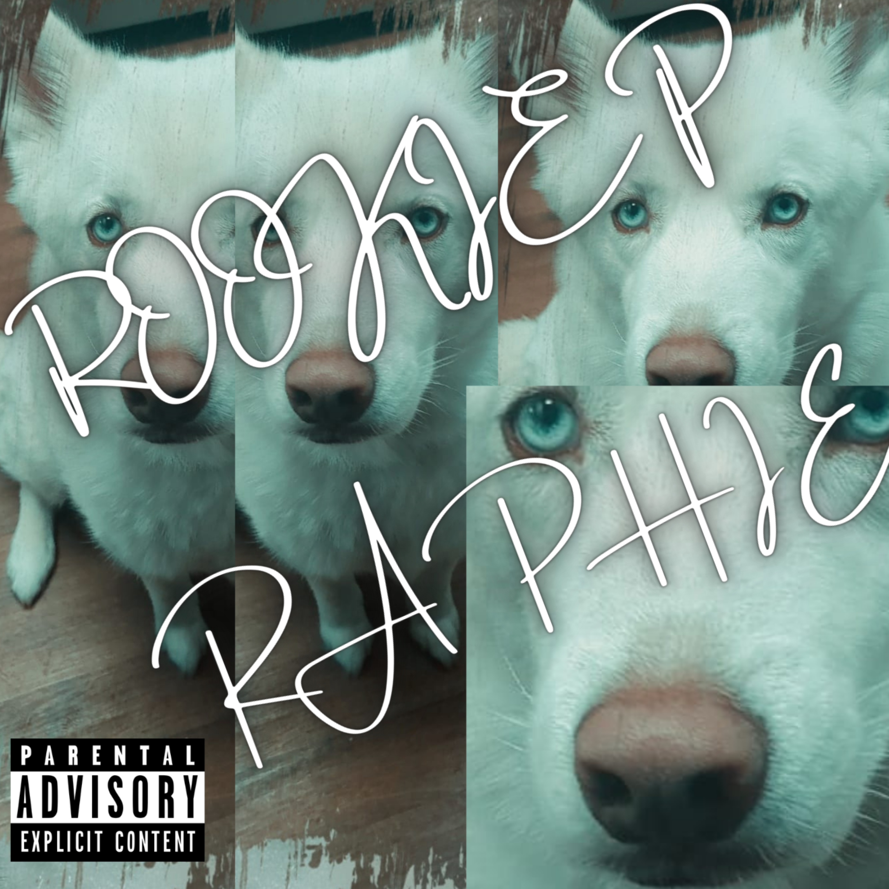Raphie (the white husky) artwork
