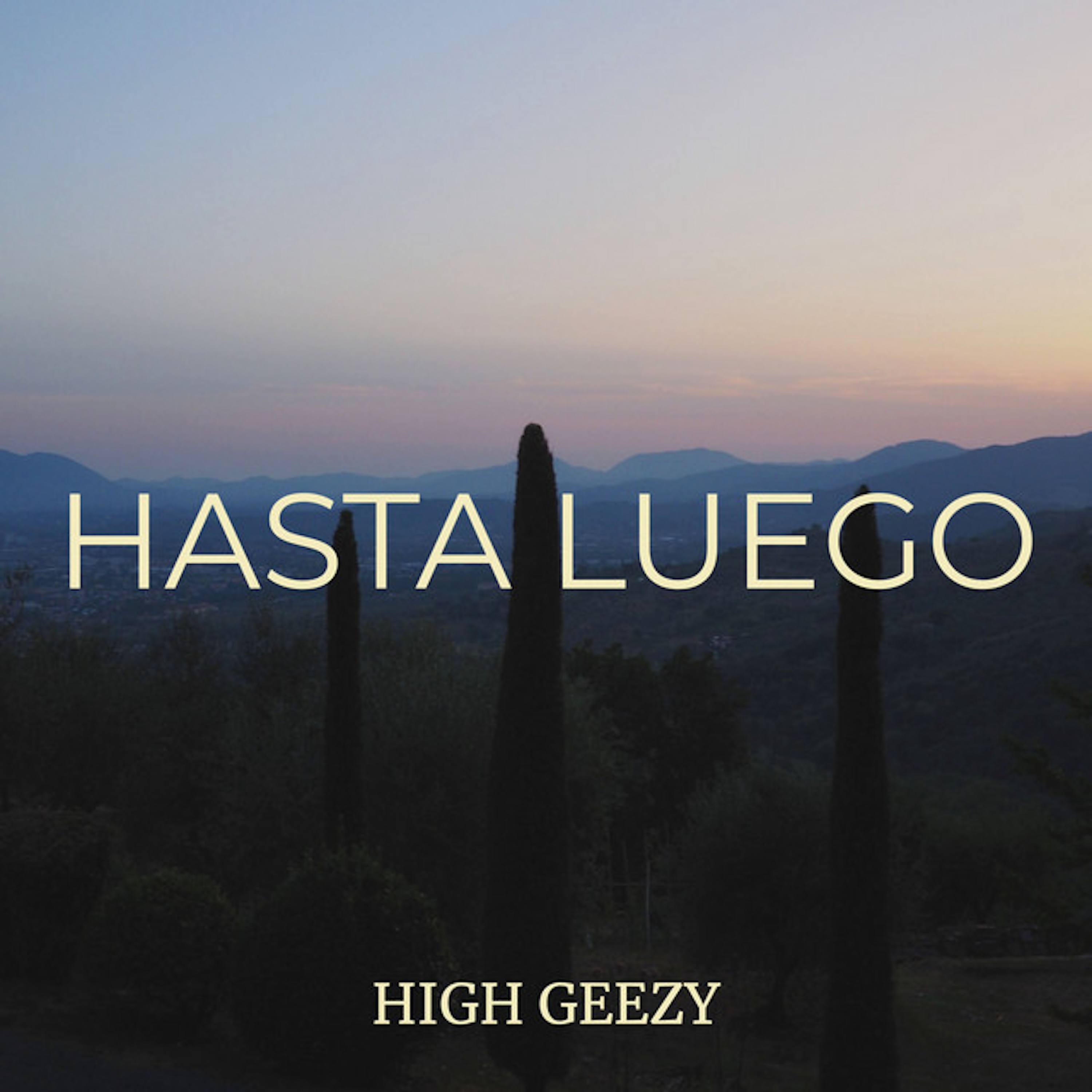 Hasta Luego artwork