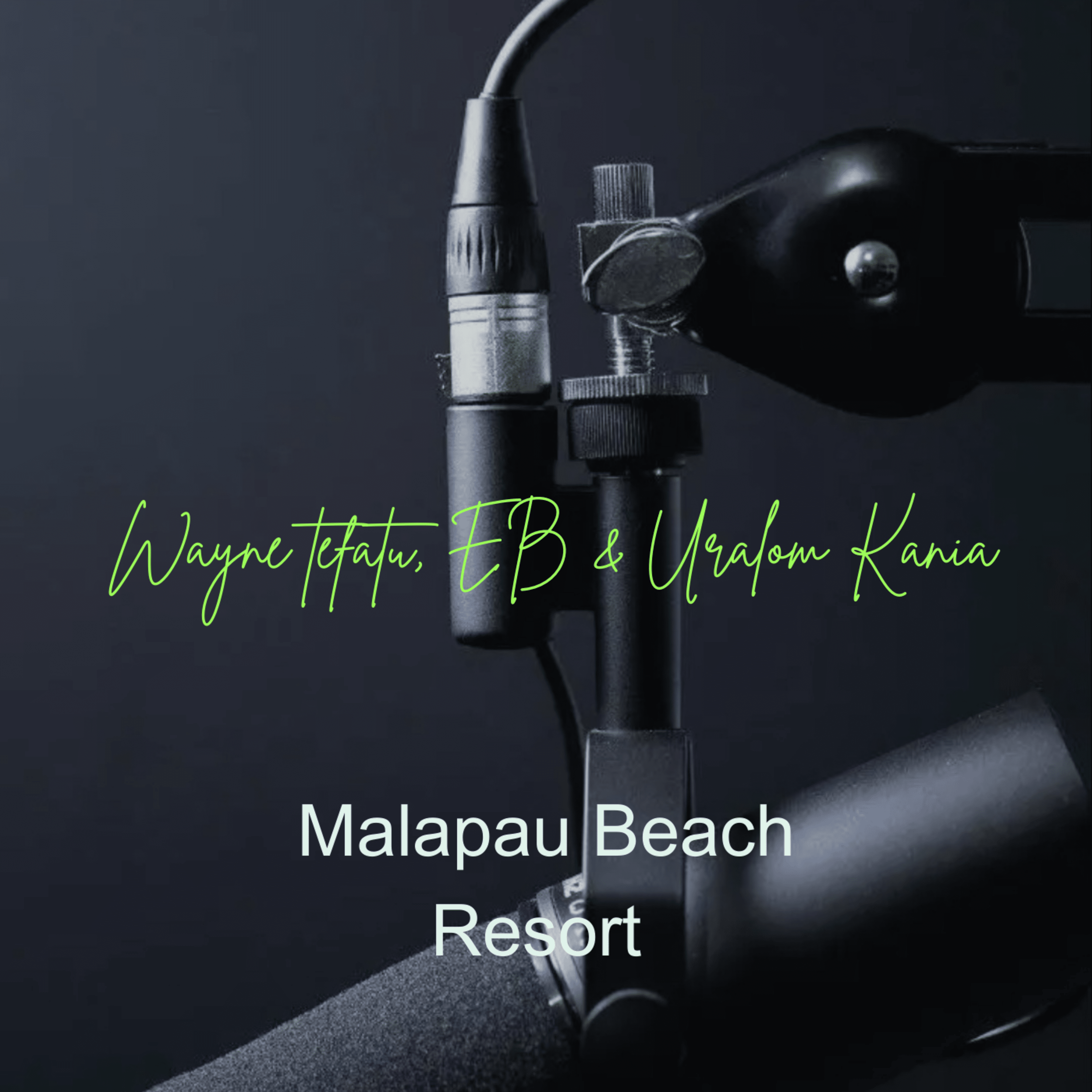 Malapau Beach Resort artwork