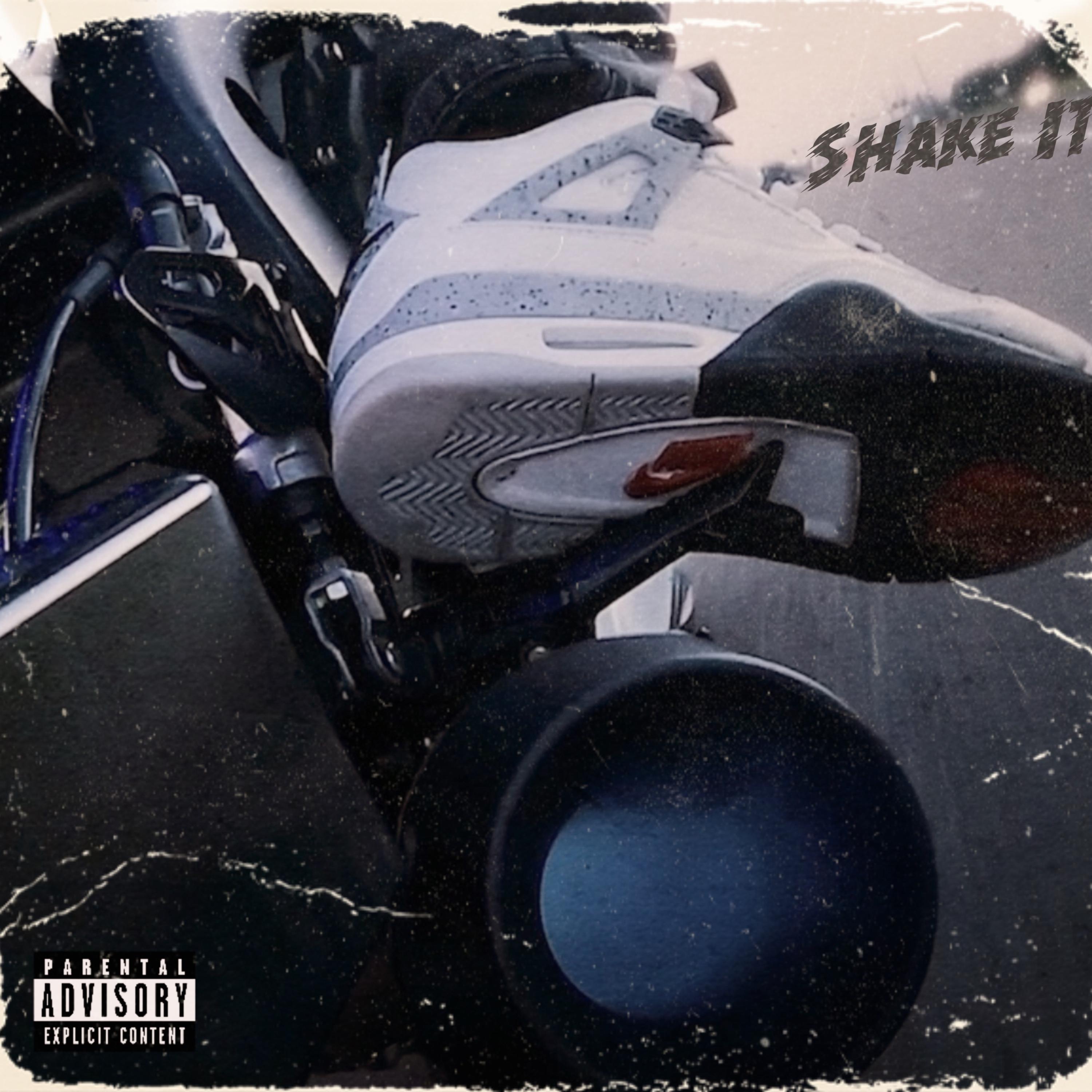 Shake It artwork