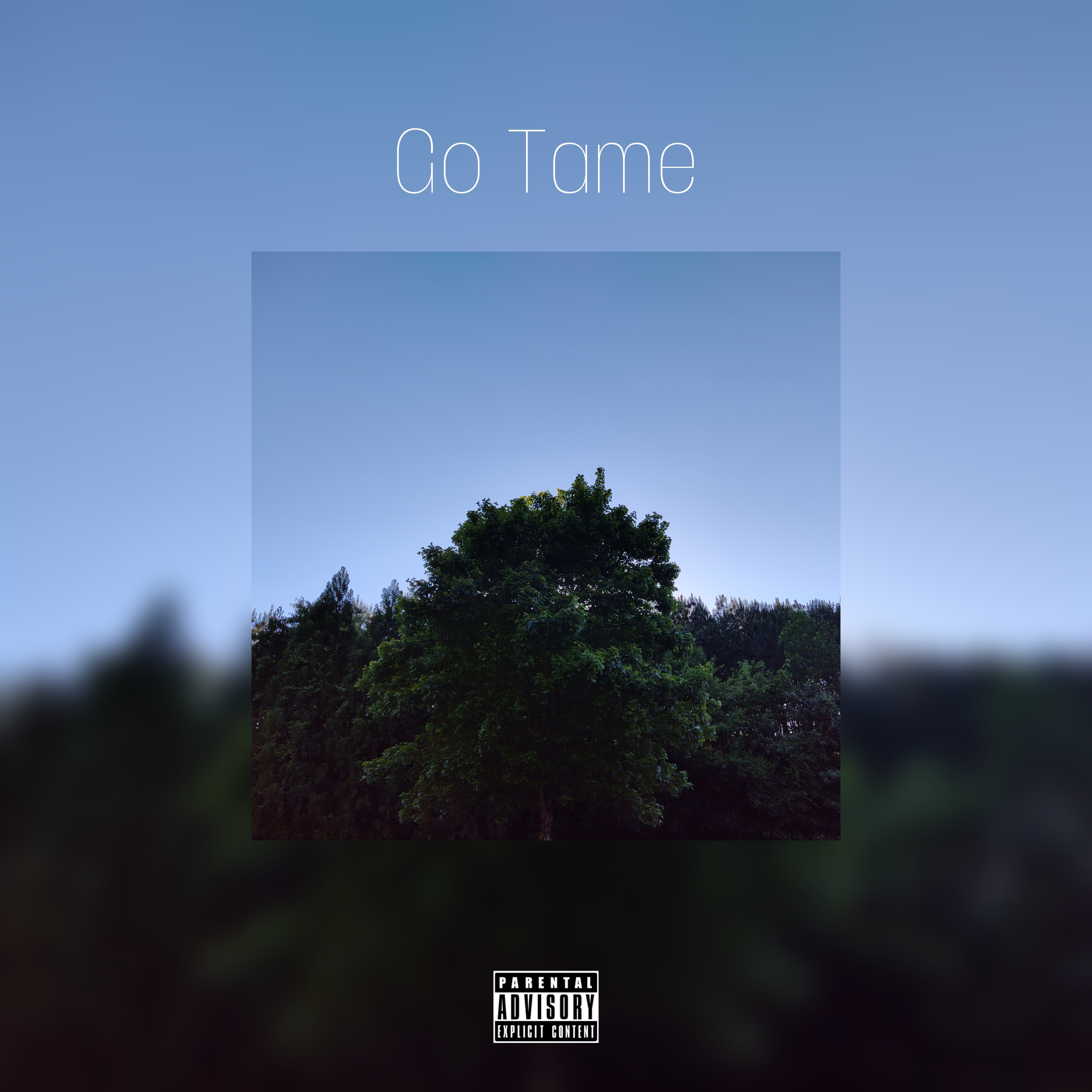 Go Tame artwork