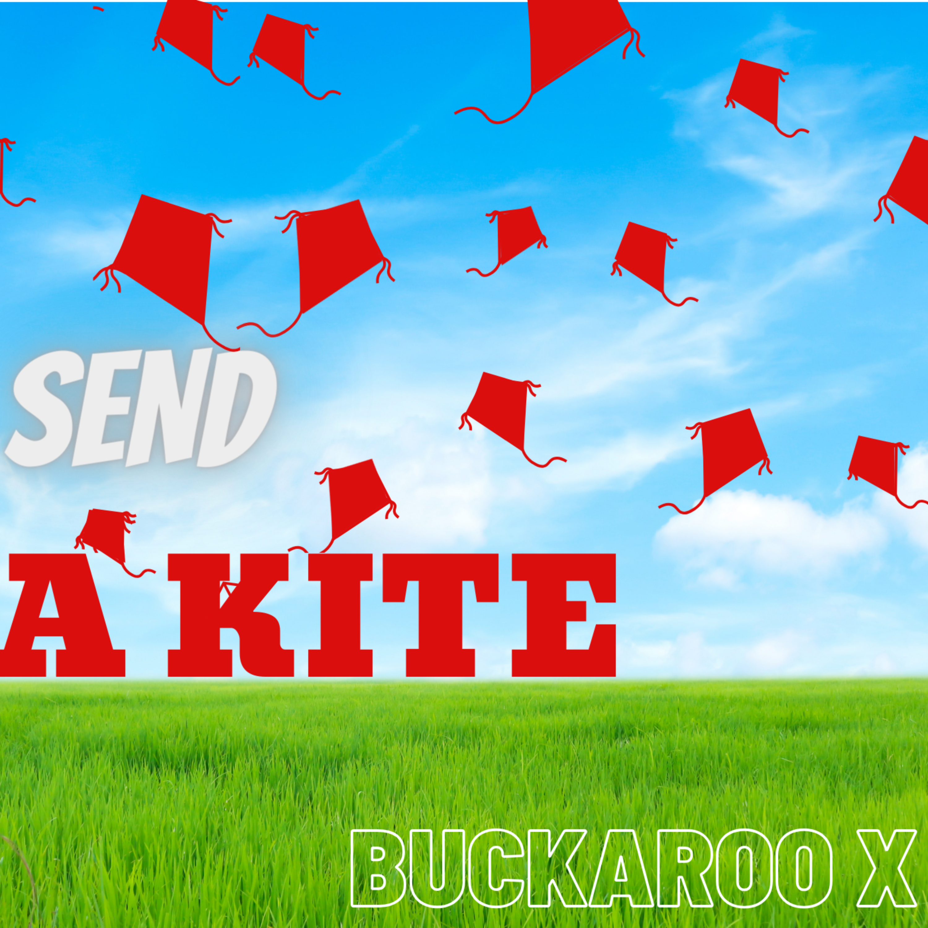 Send A Kite artwork