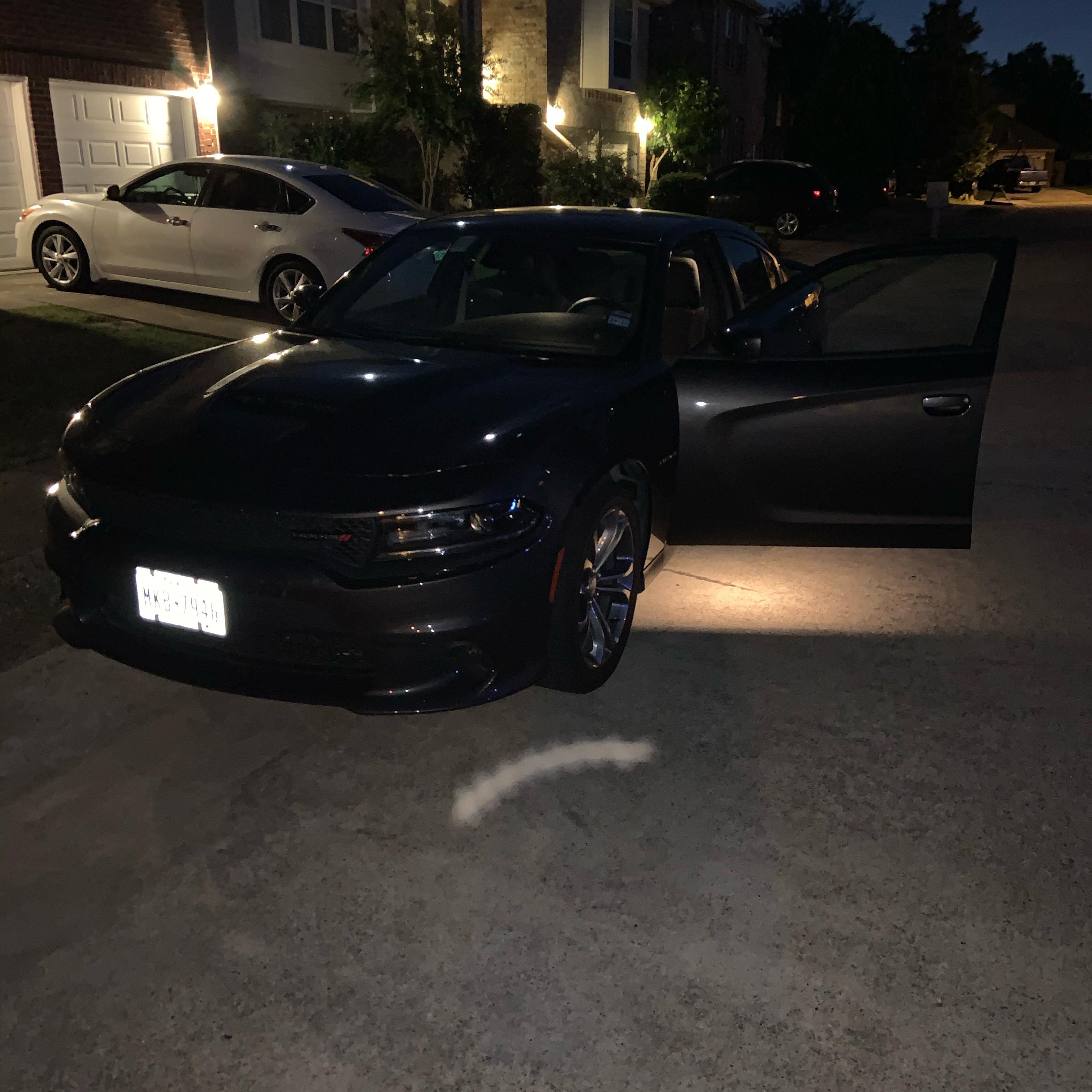 Plano Tribute artwork