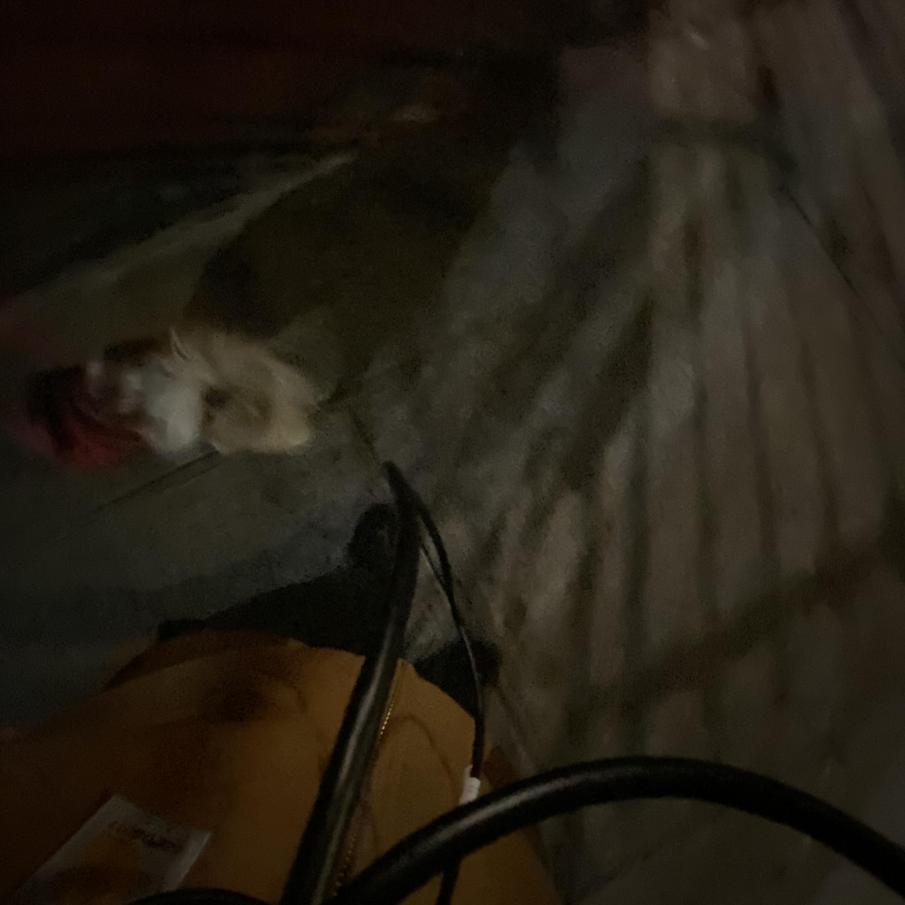 Triple Threat artwork