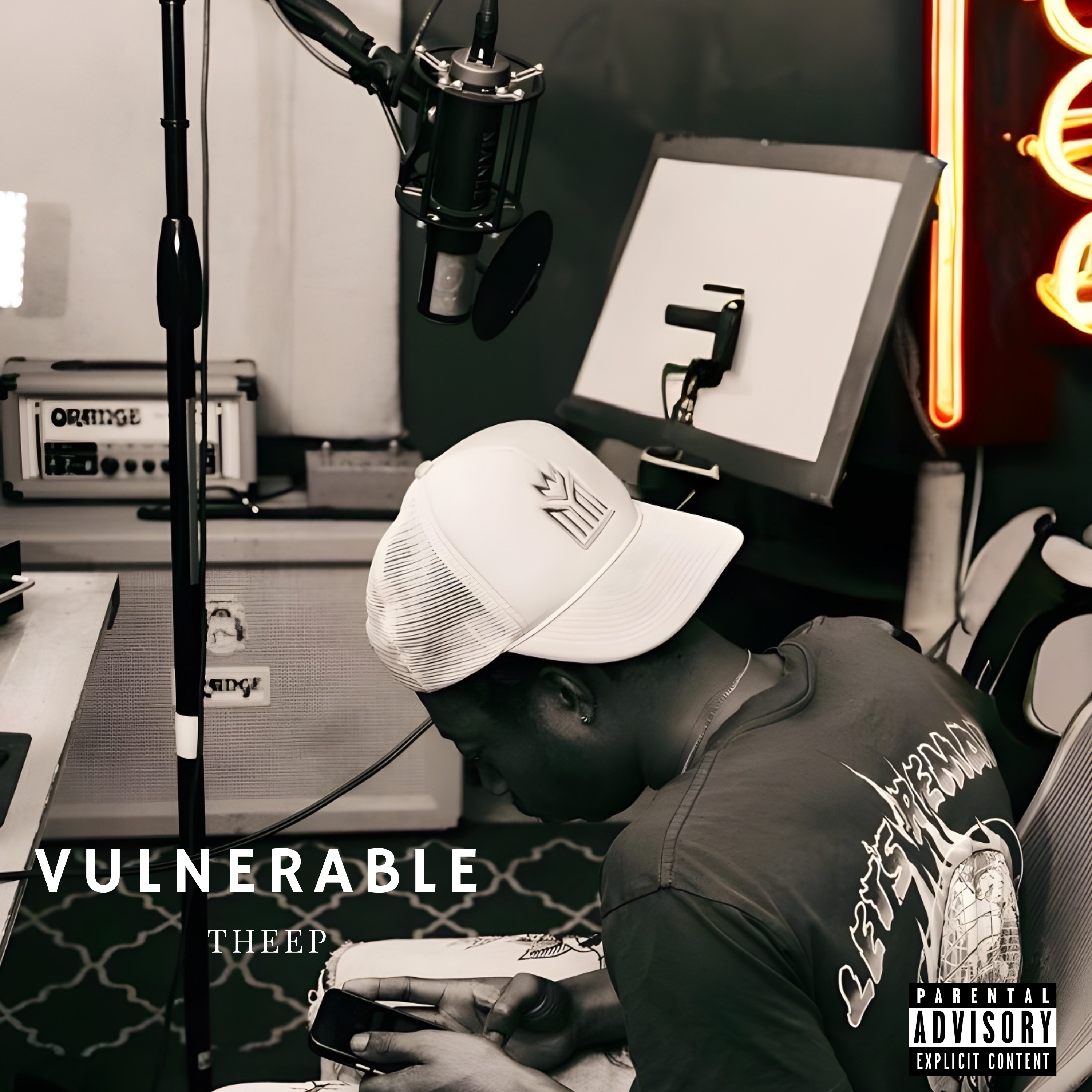 Vulnerable  artwork