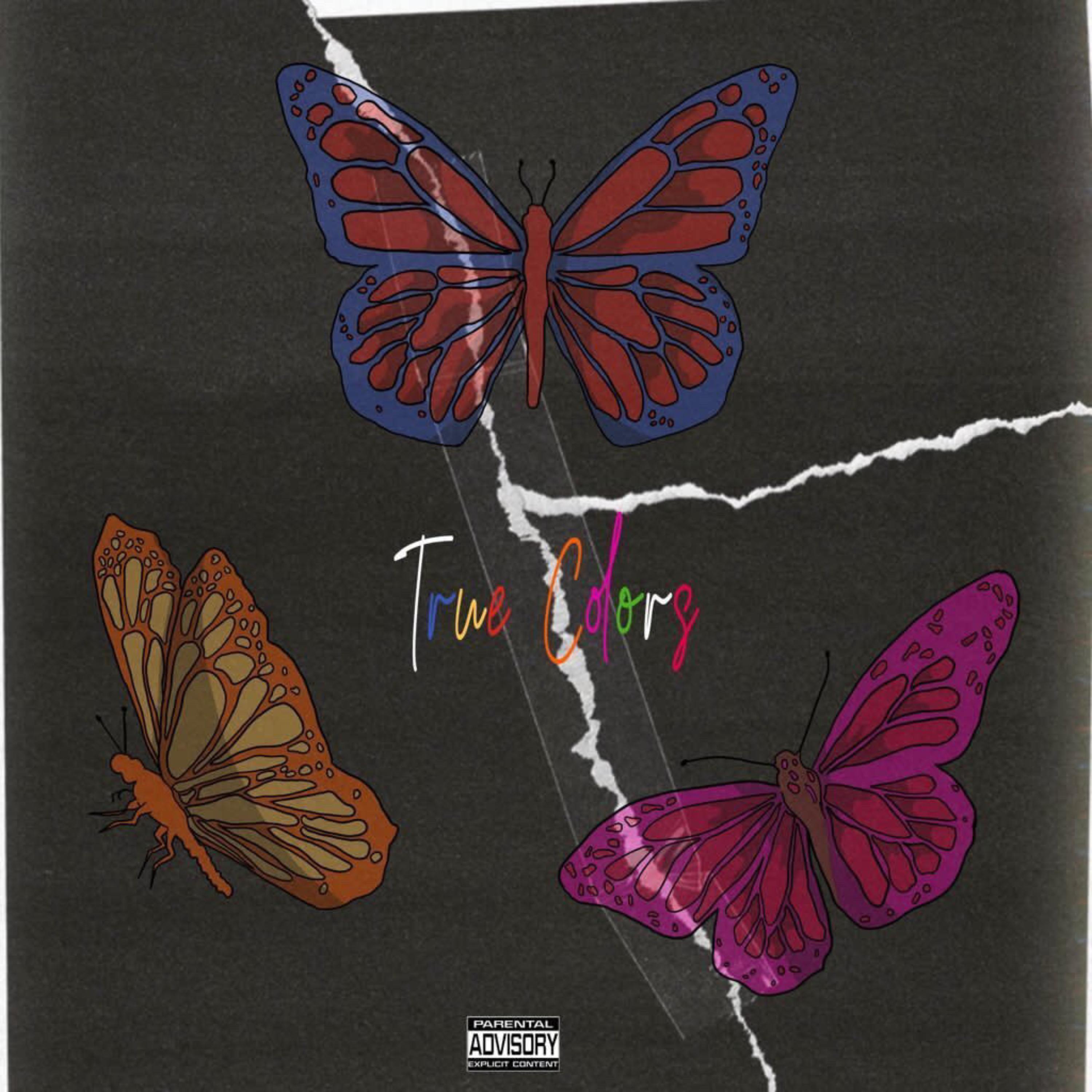 TRUE COLORS artwork