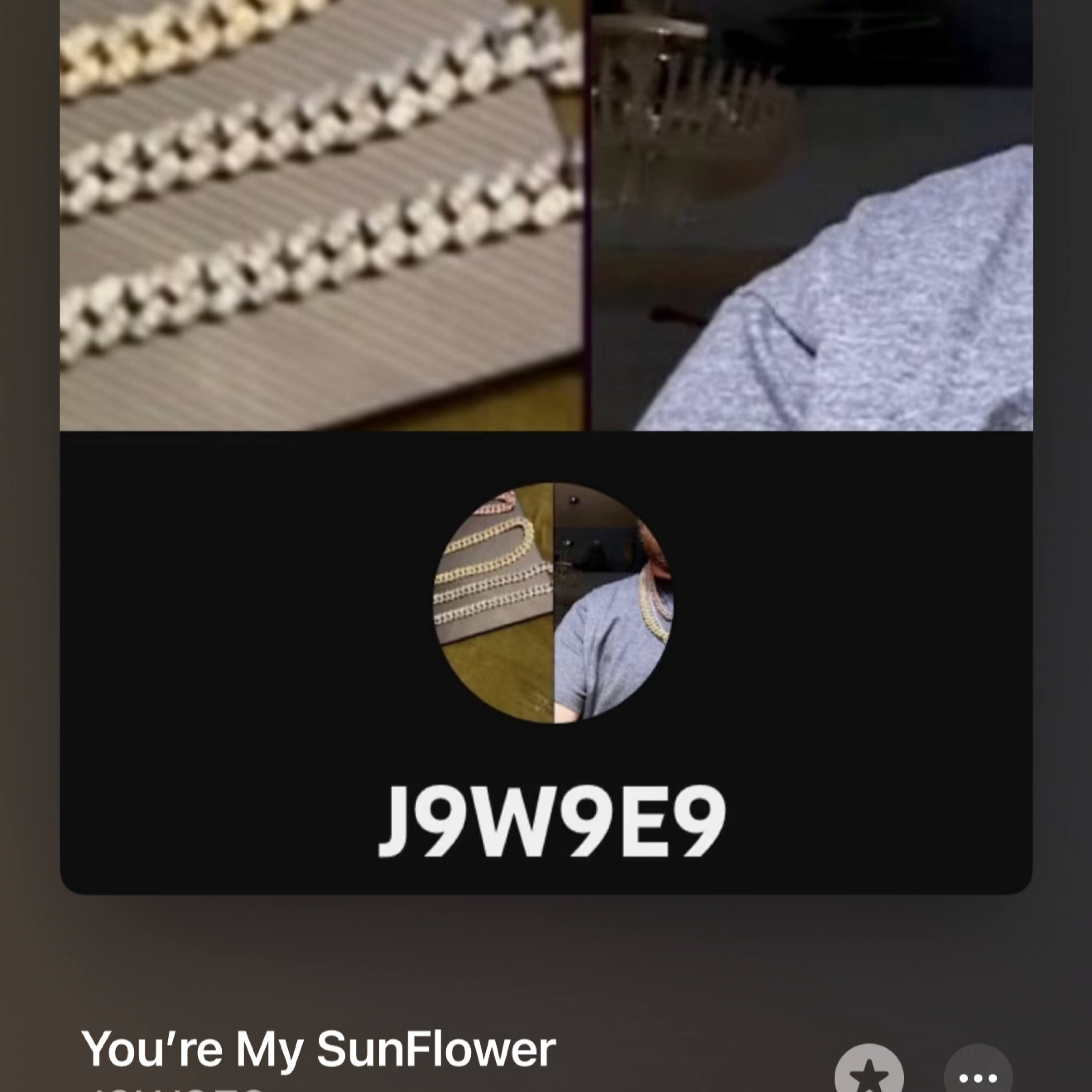 You’re My SunFlower artwork