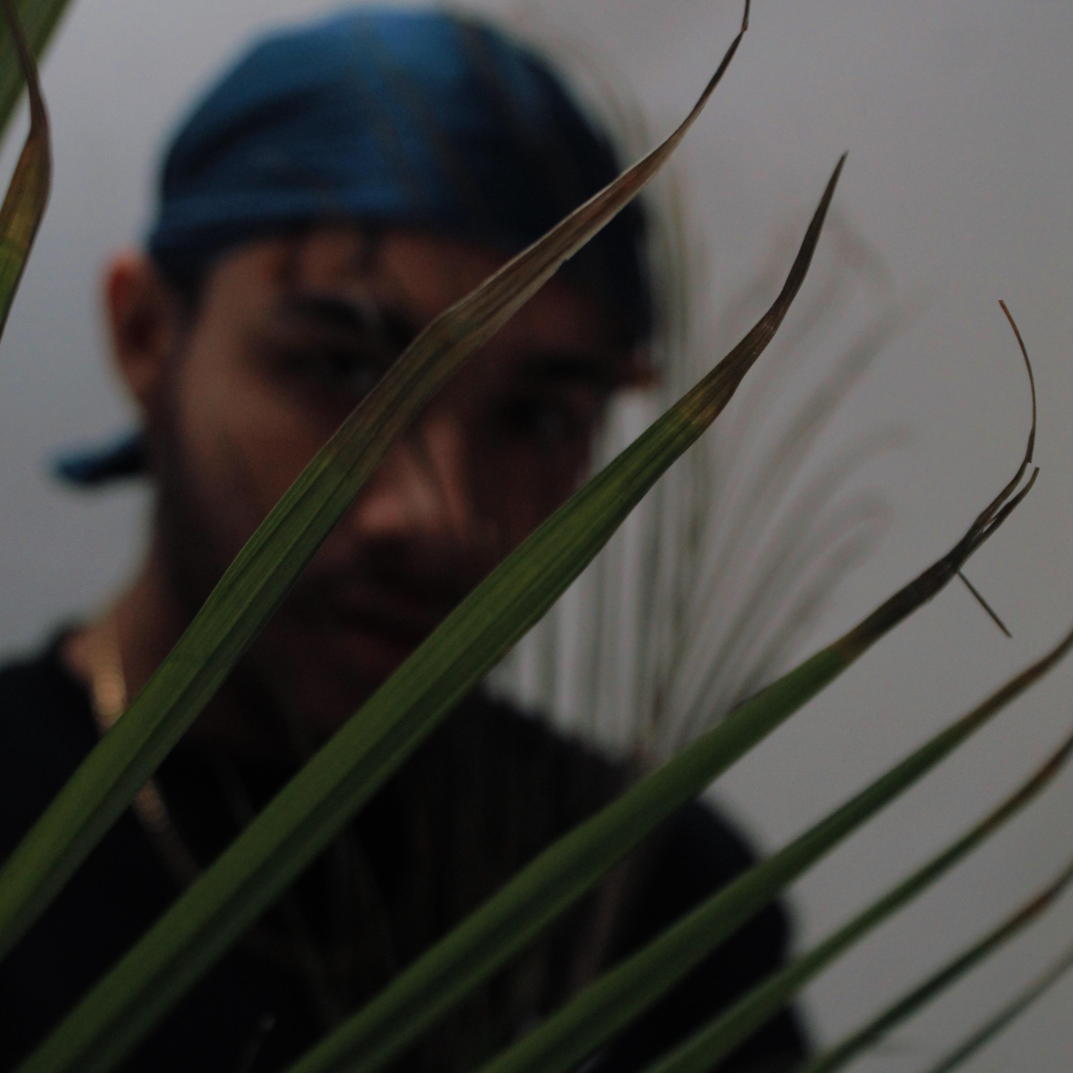 GONE EVERY SZN ANTHEM artwork