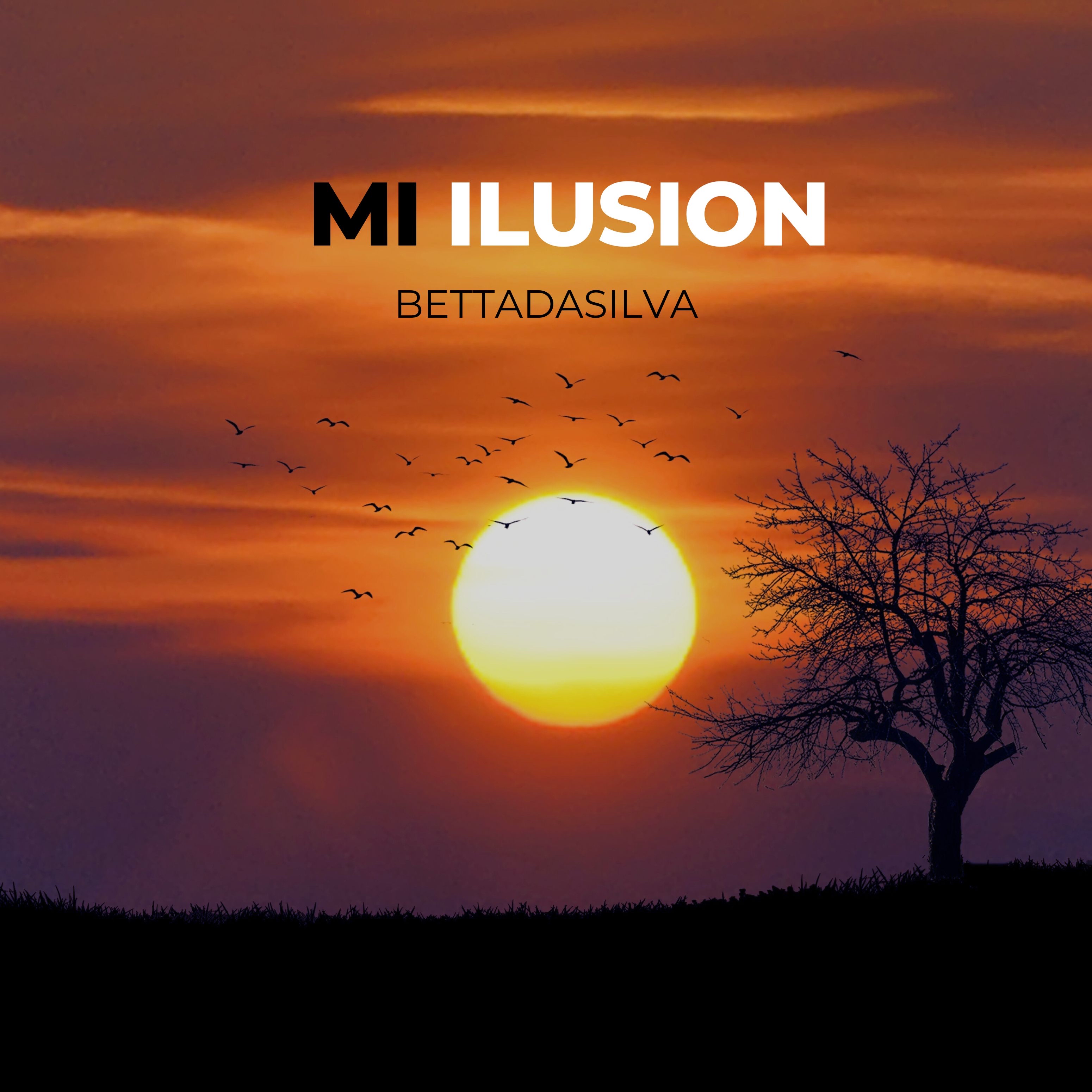 Mi Ilusion artwork