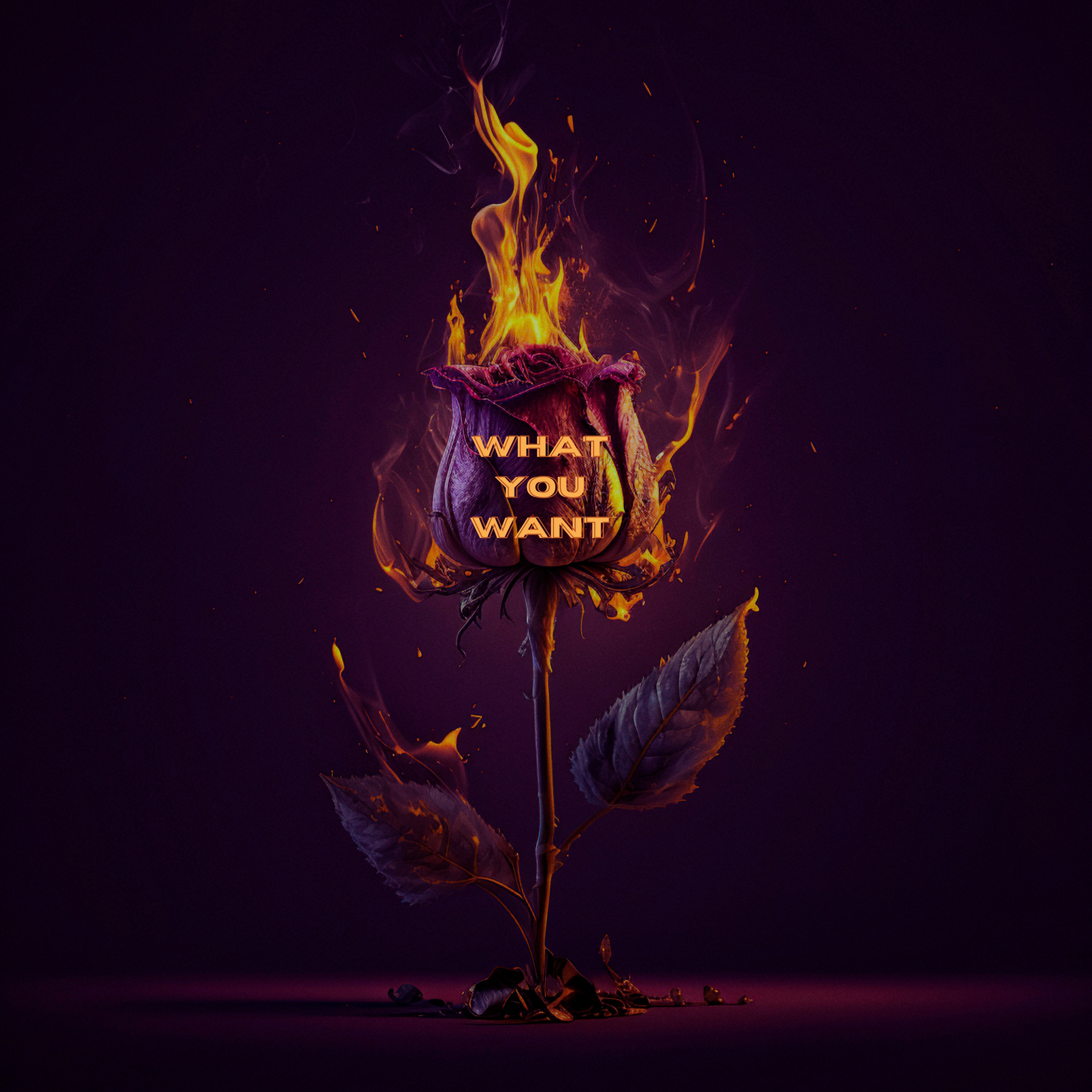 WYW artwork