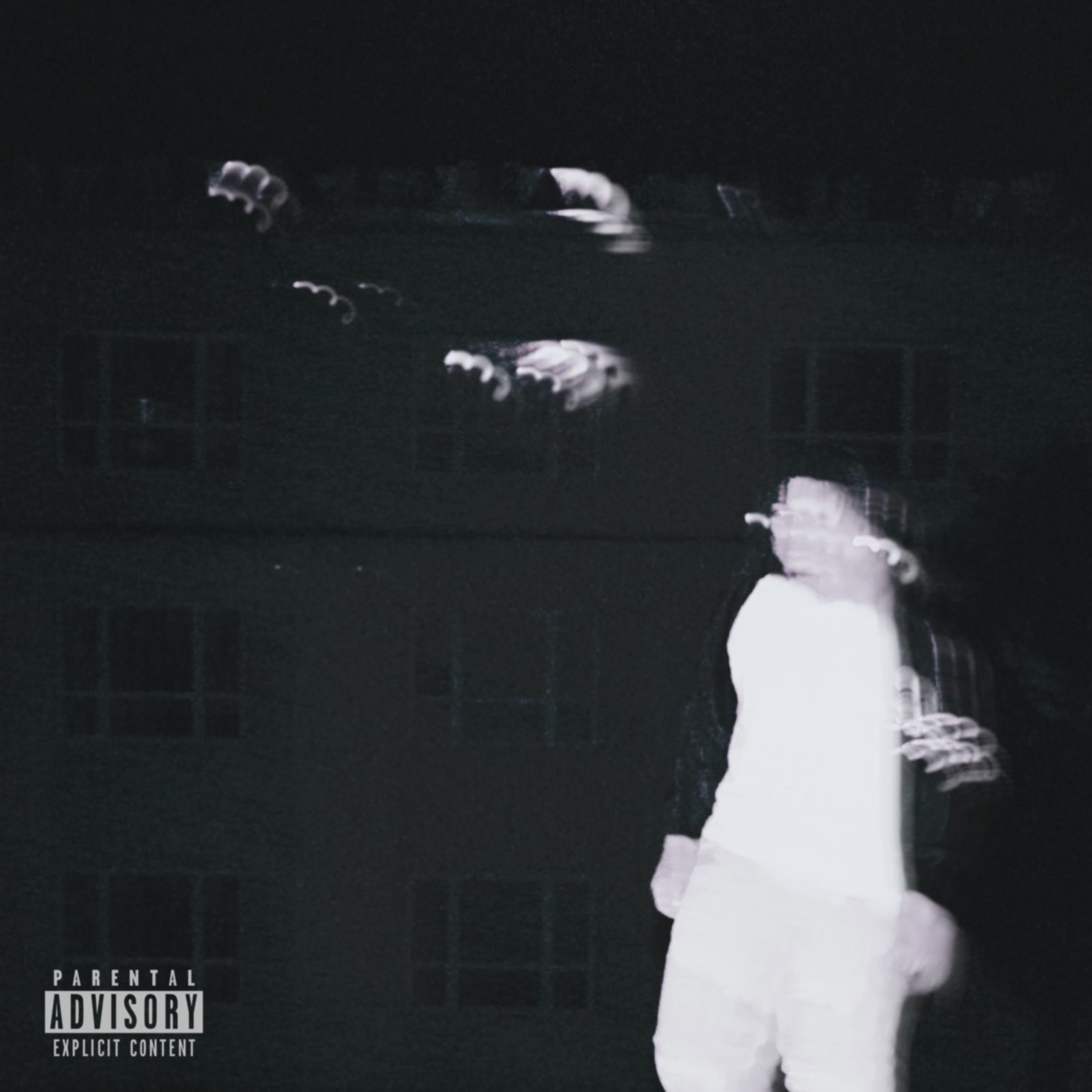 Too Real For Fake by GB Zizzy cover art