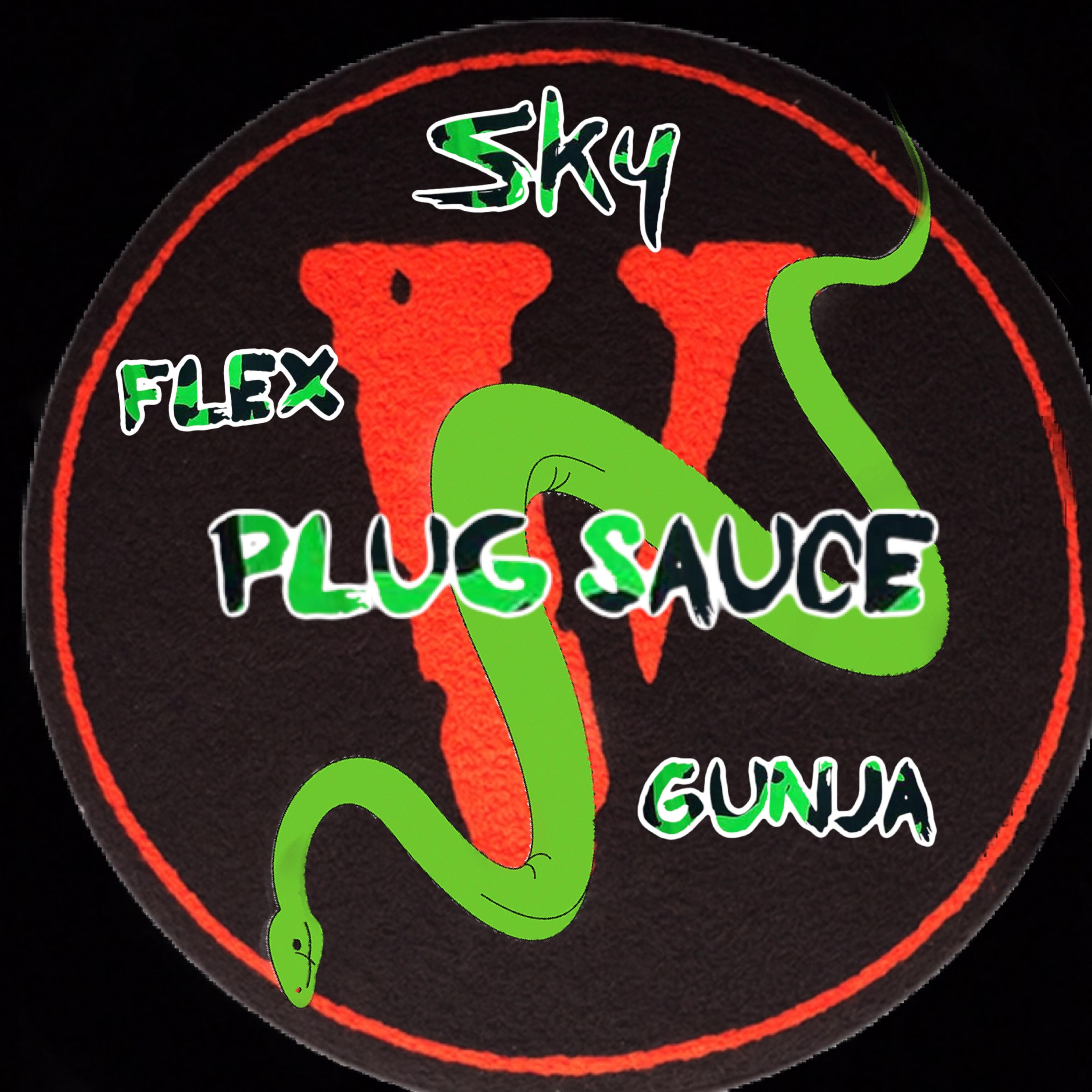 Plug Sauce artwork