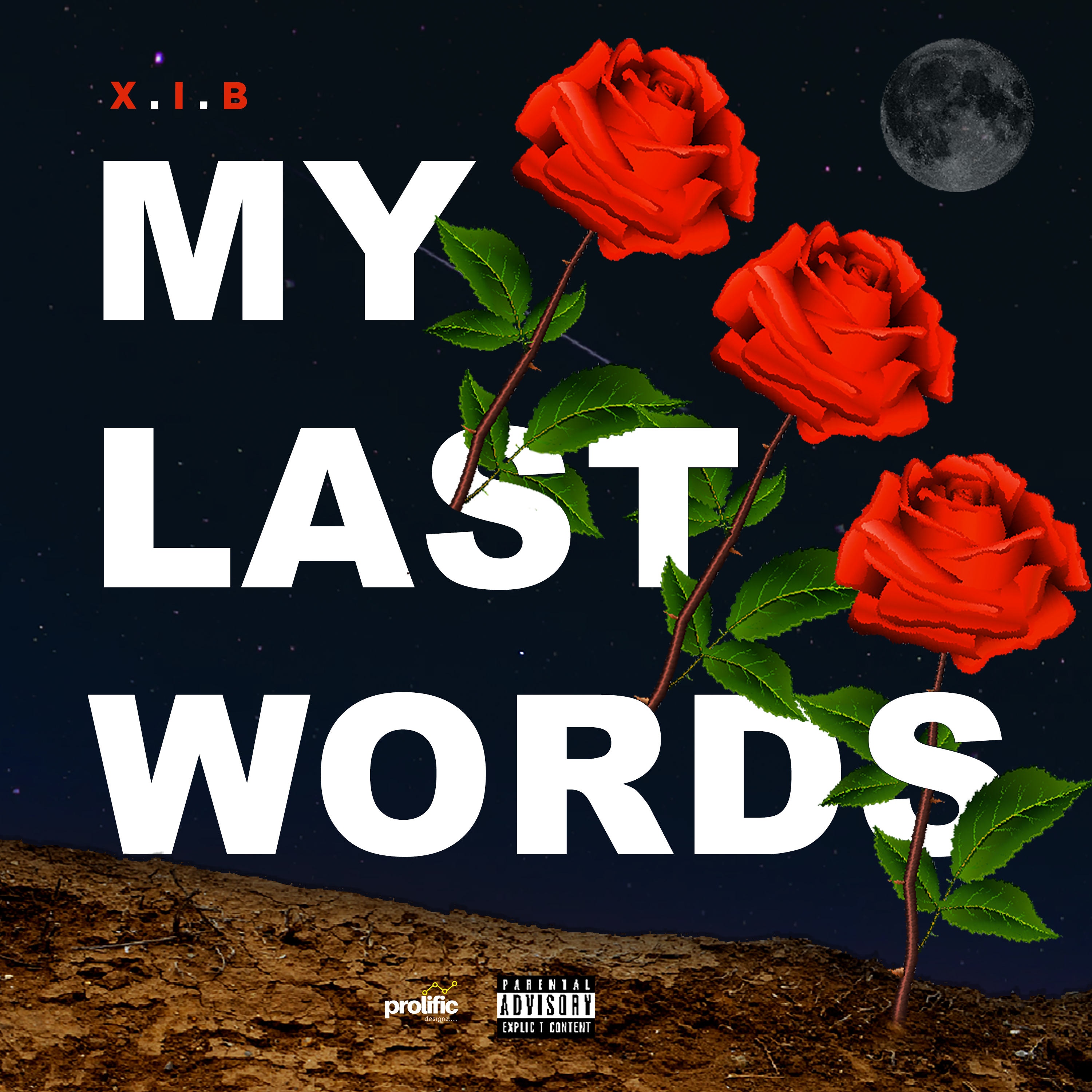 My Last Words artwork