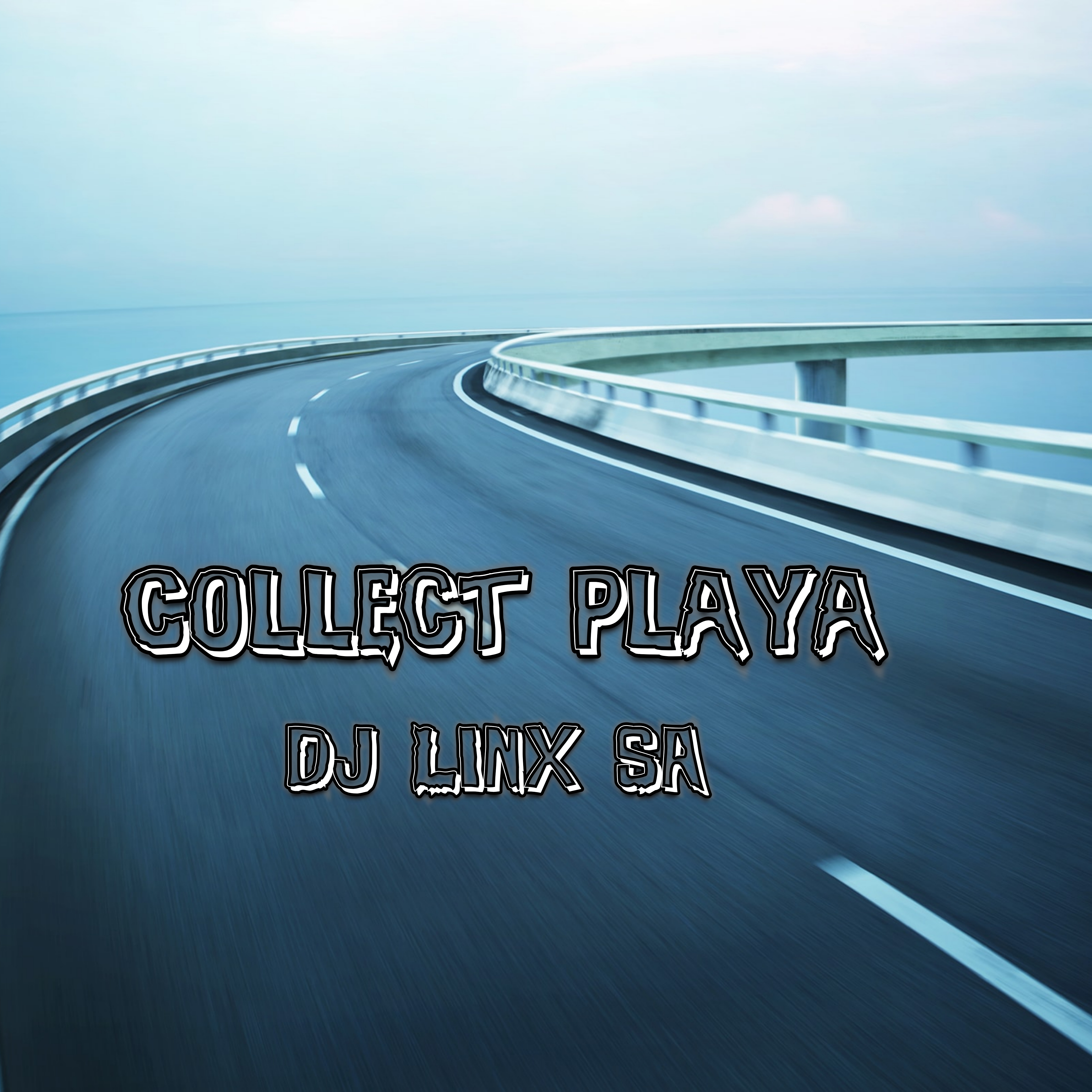 Collect Playa artwork