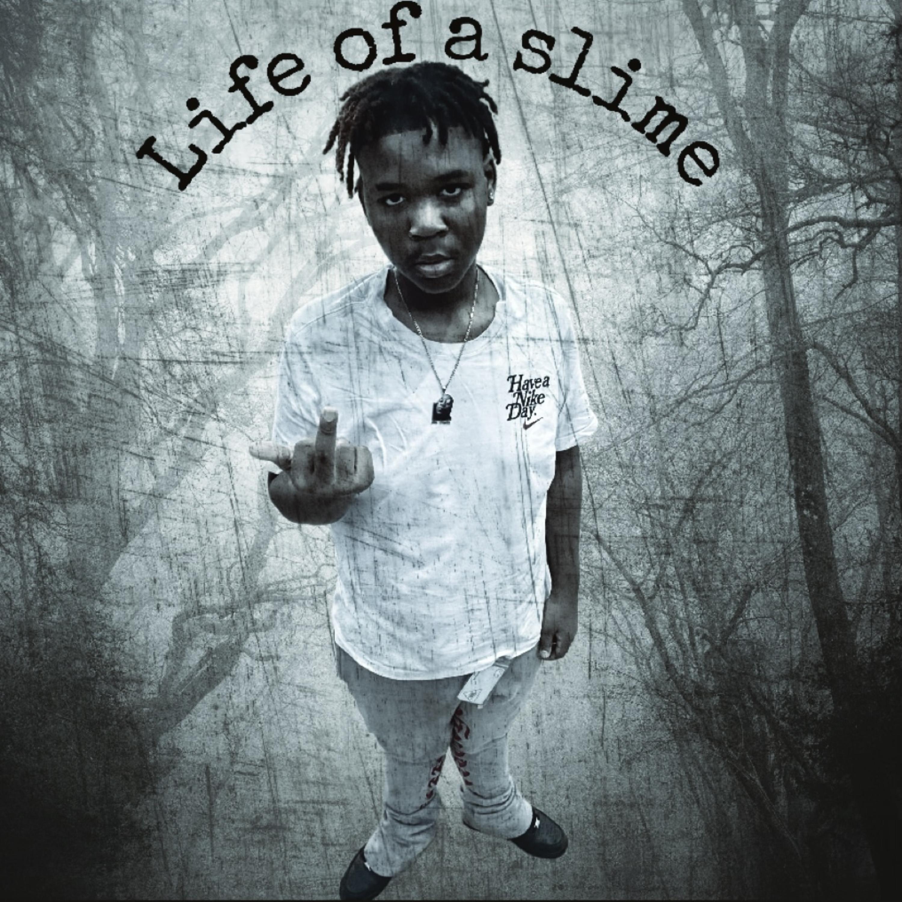 Life of a slime artwork