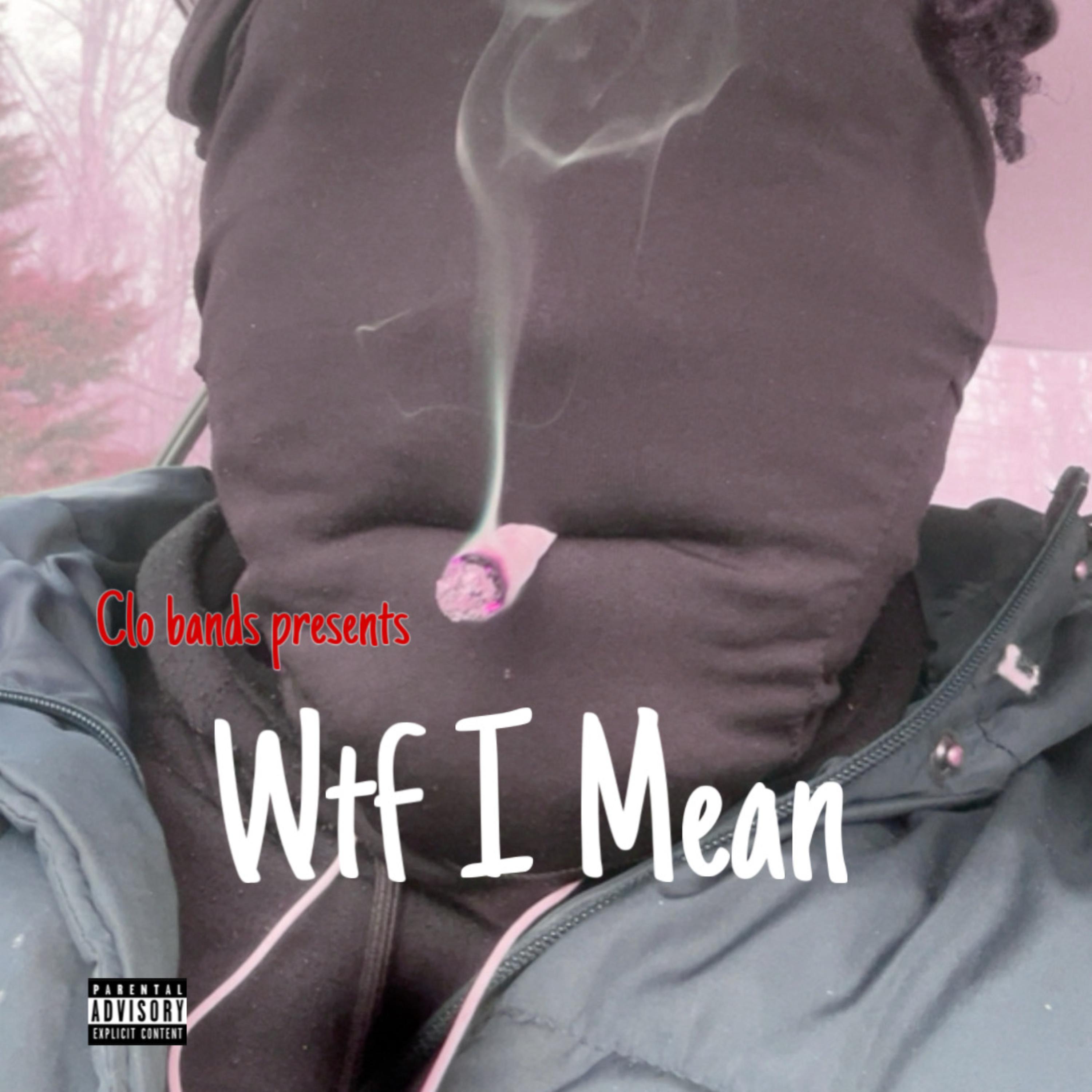 wtf I Mean artwork