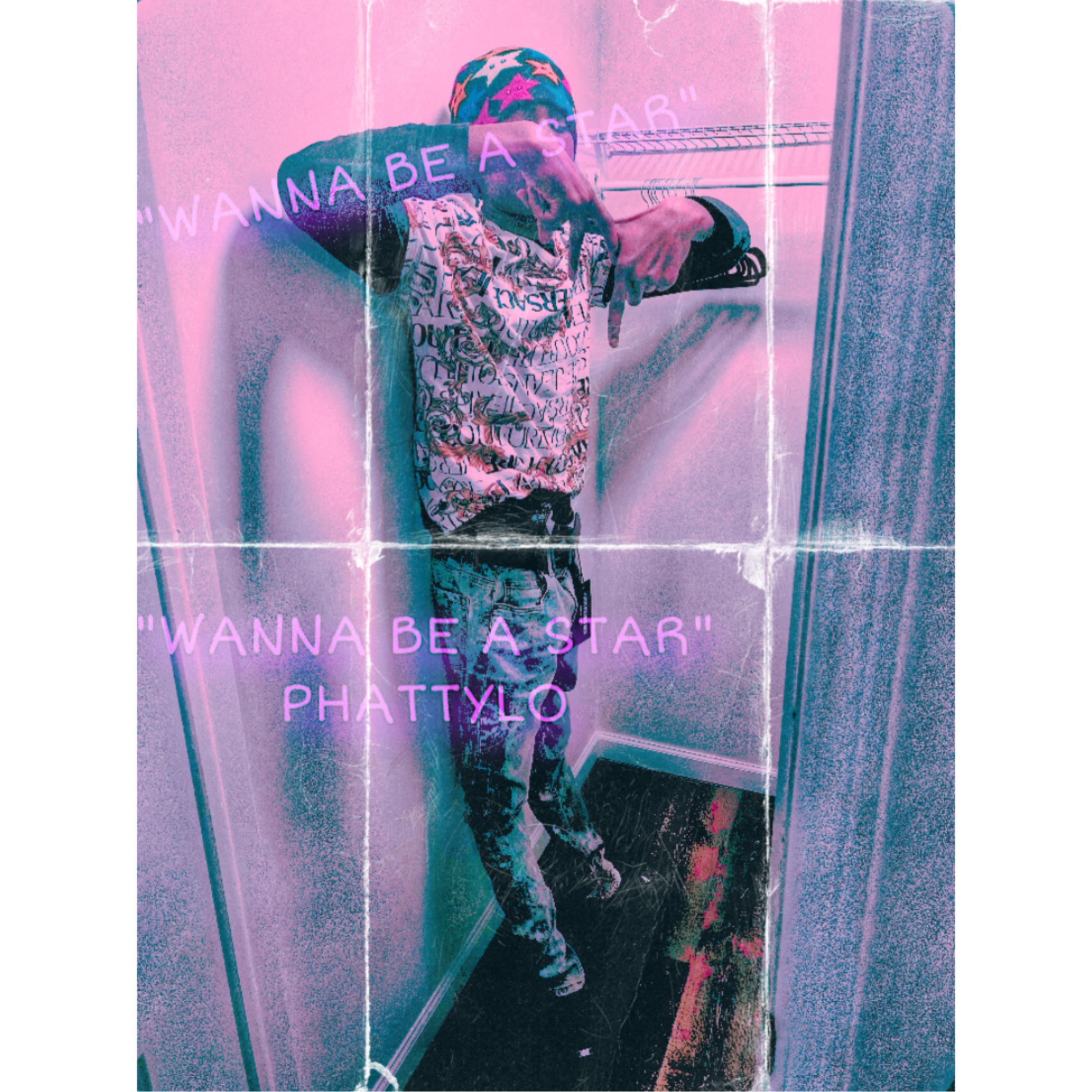 wanna be a star artwork