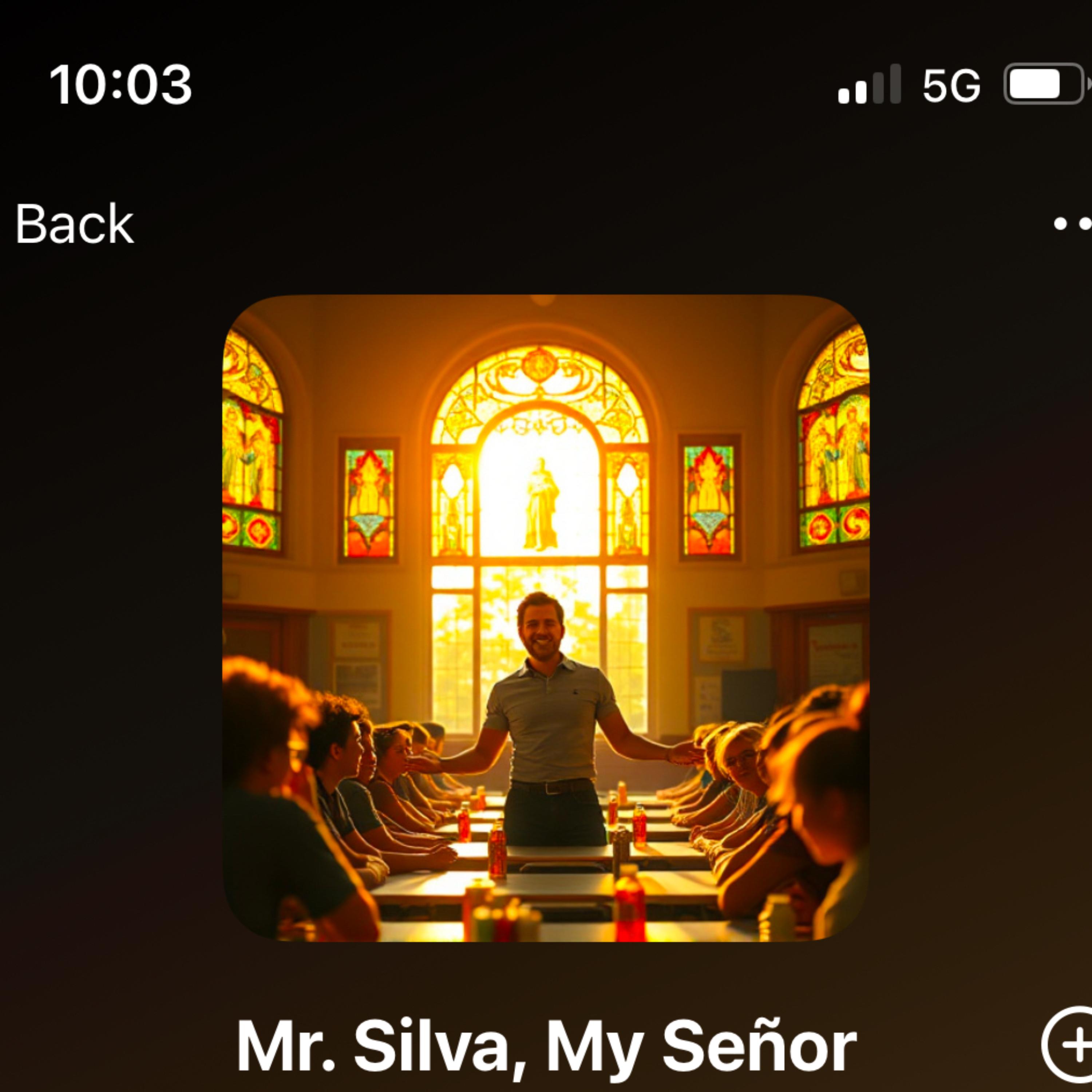 Mr. Silva, My Senor artwork