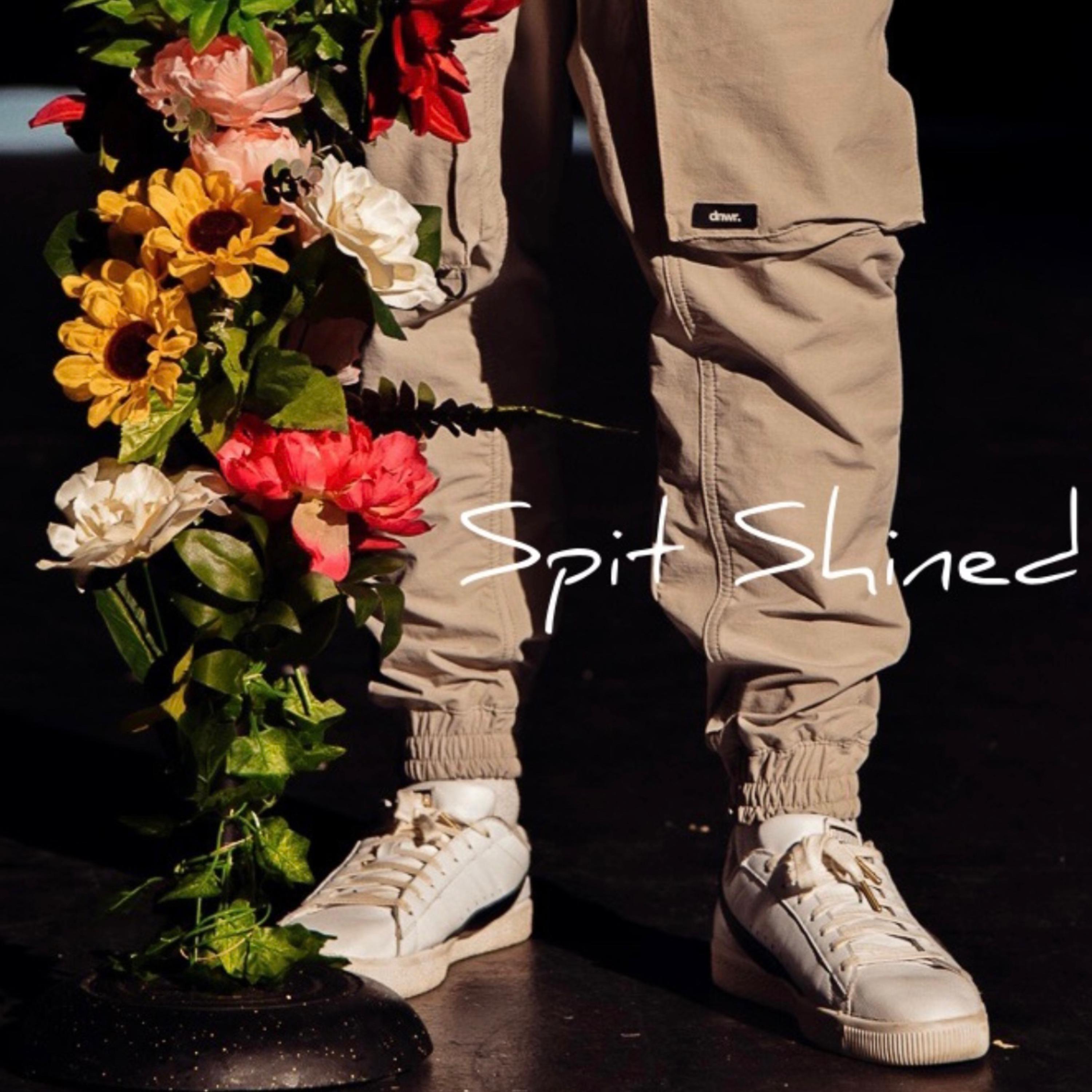 Spit Shined artwork