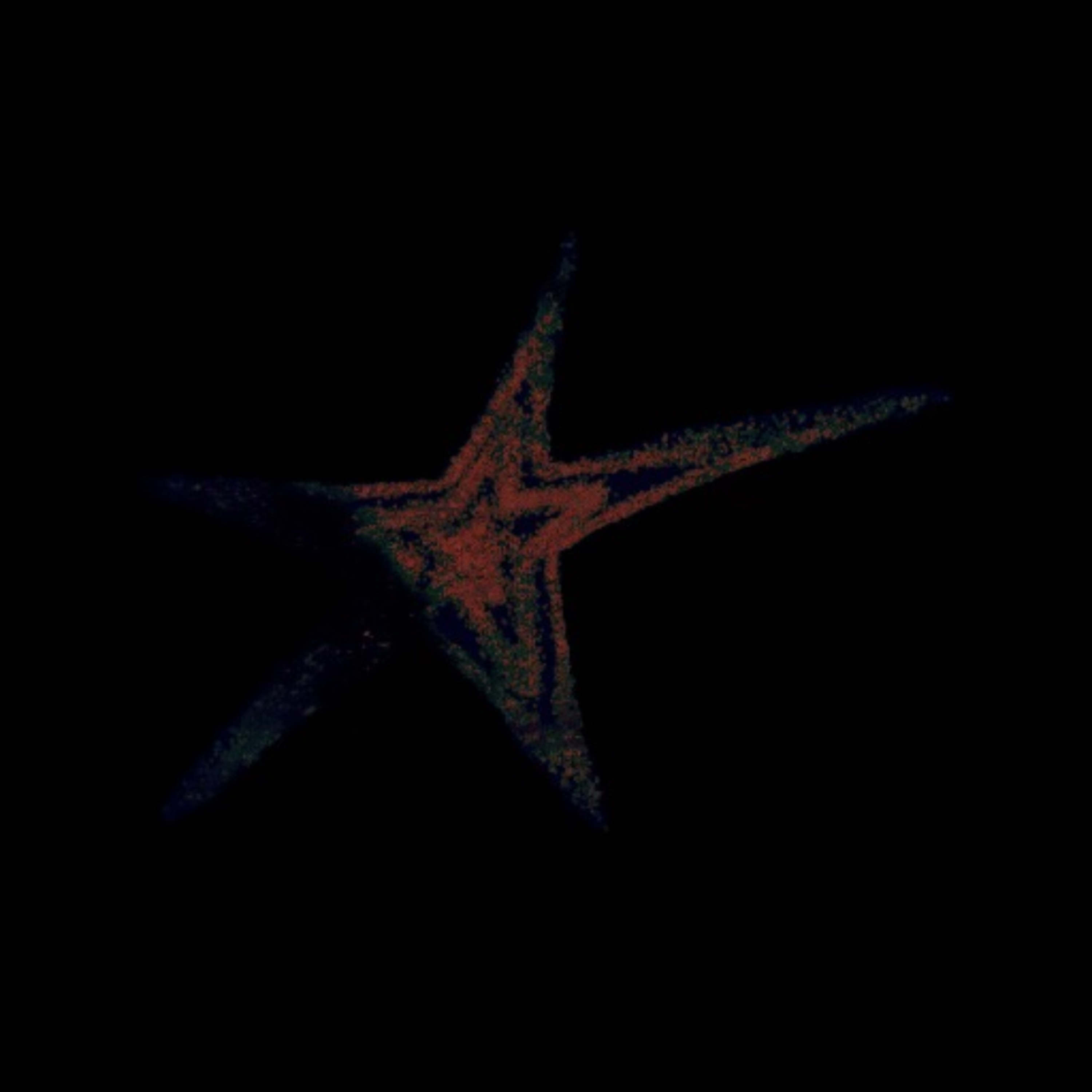 I’m A Star artwork