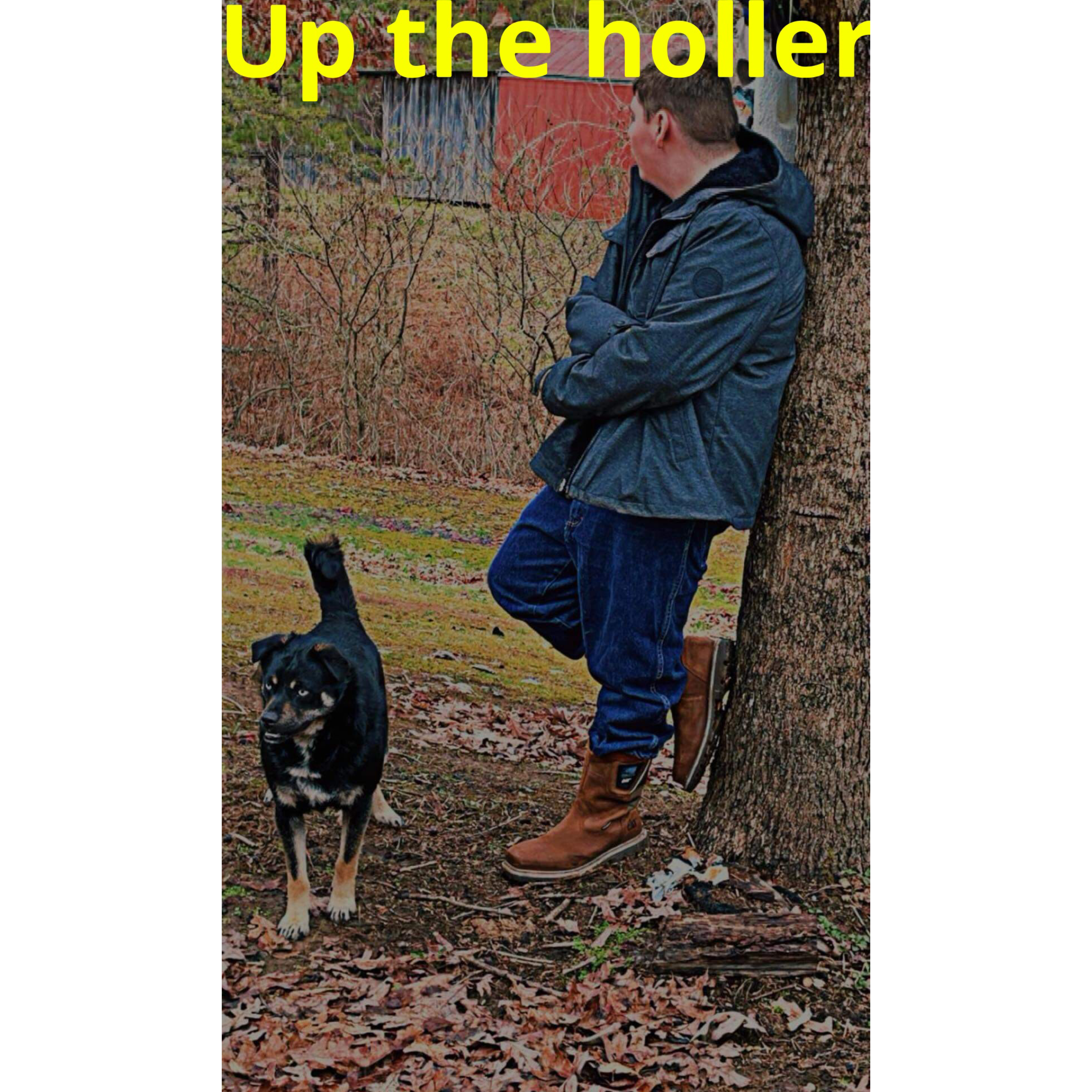 Up The Holler artwork