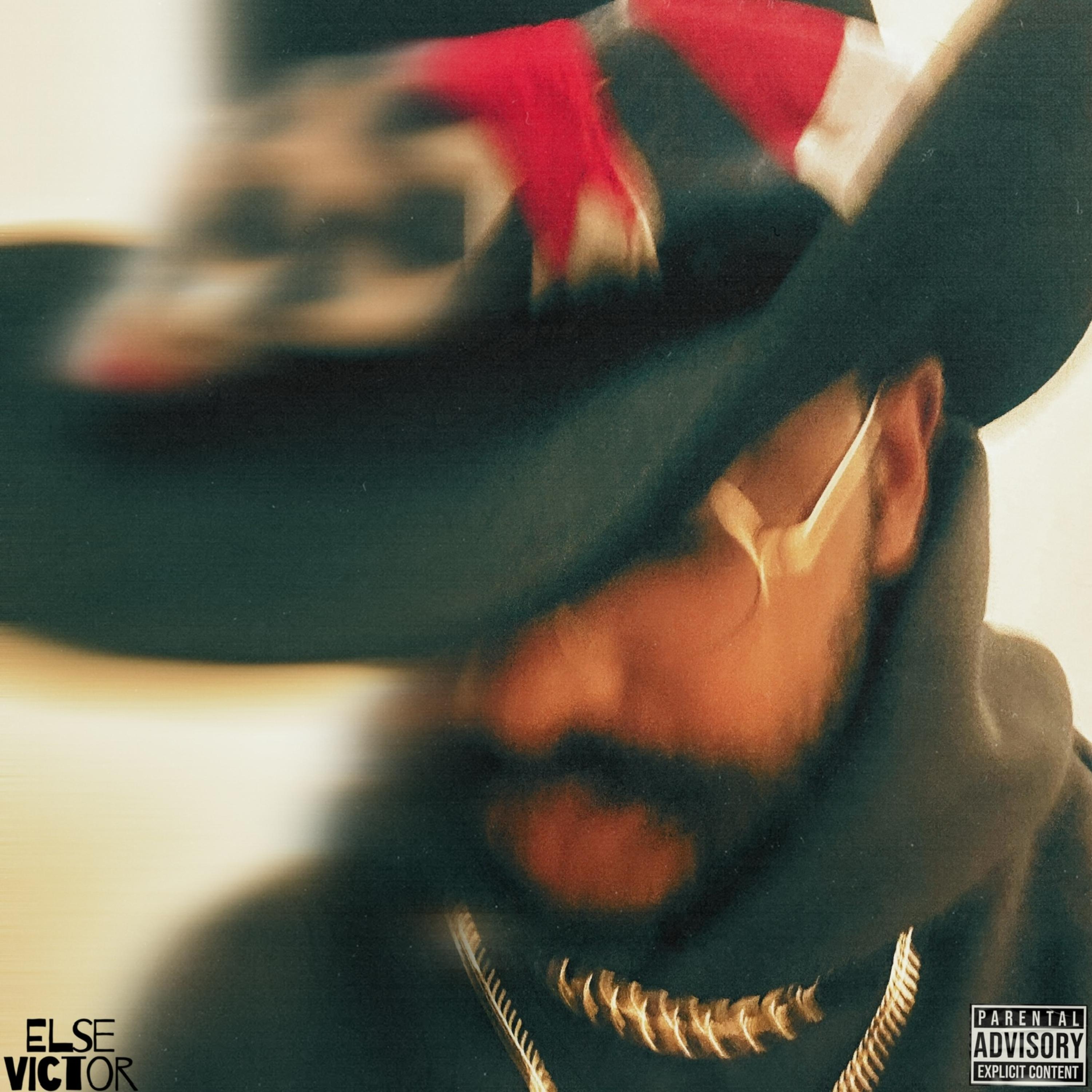 Pleasure Seeker artwork