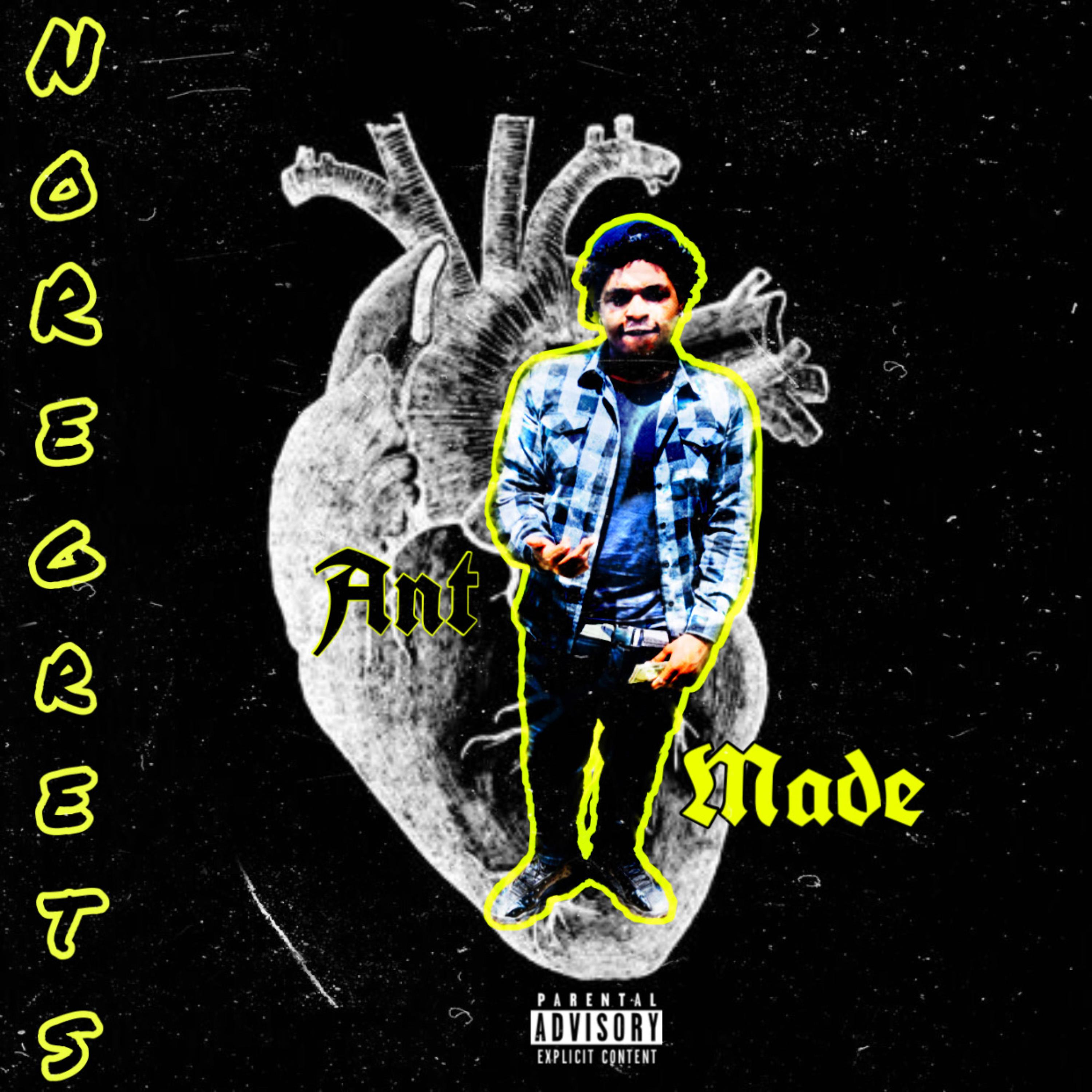 No Regrets by AntMade cover art