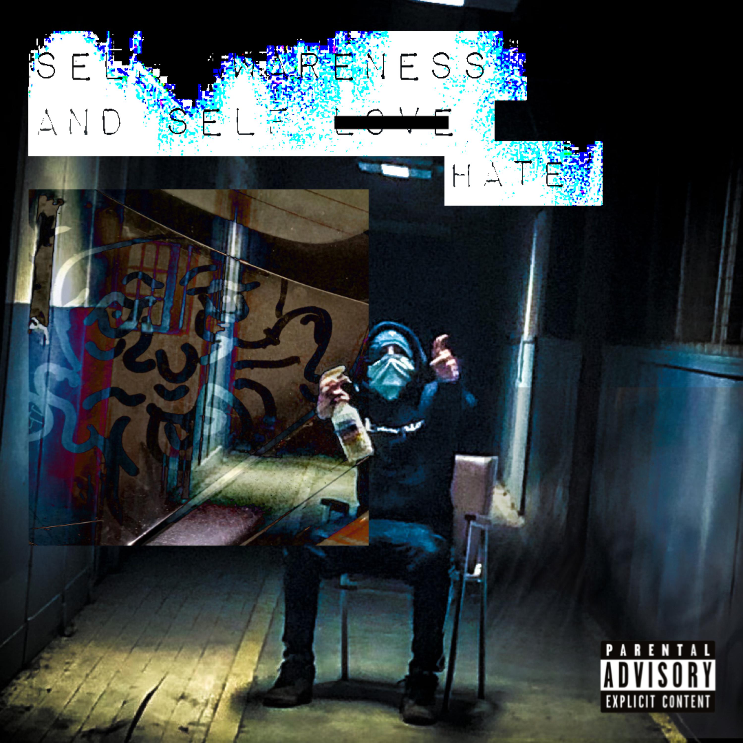 Self Awareness and Self Hate artwork
