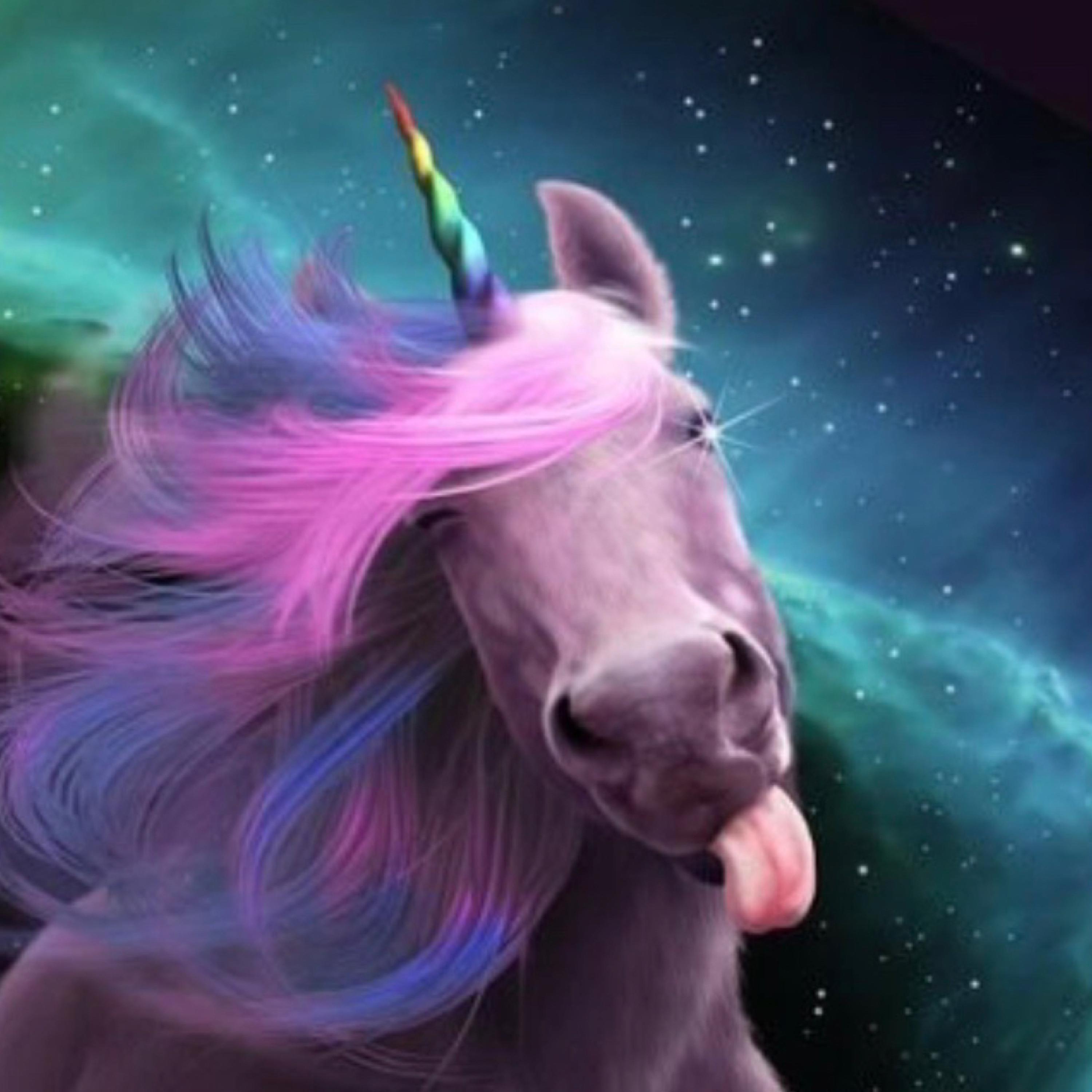 Unicorn Flow artwork