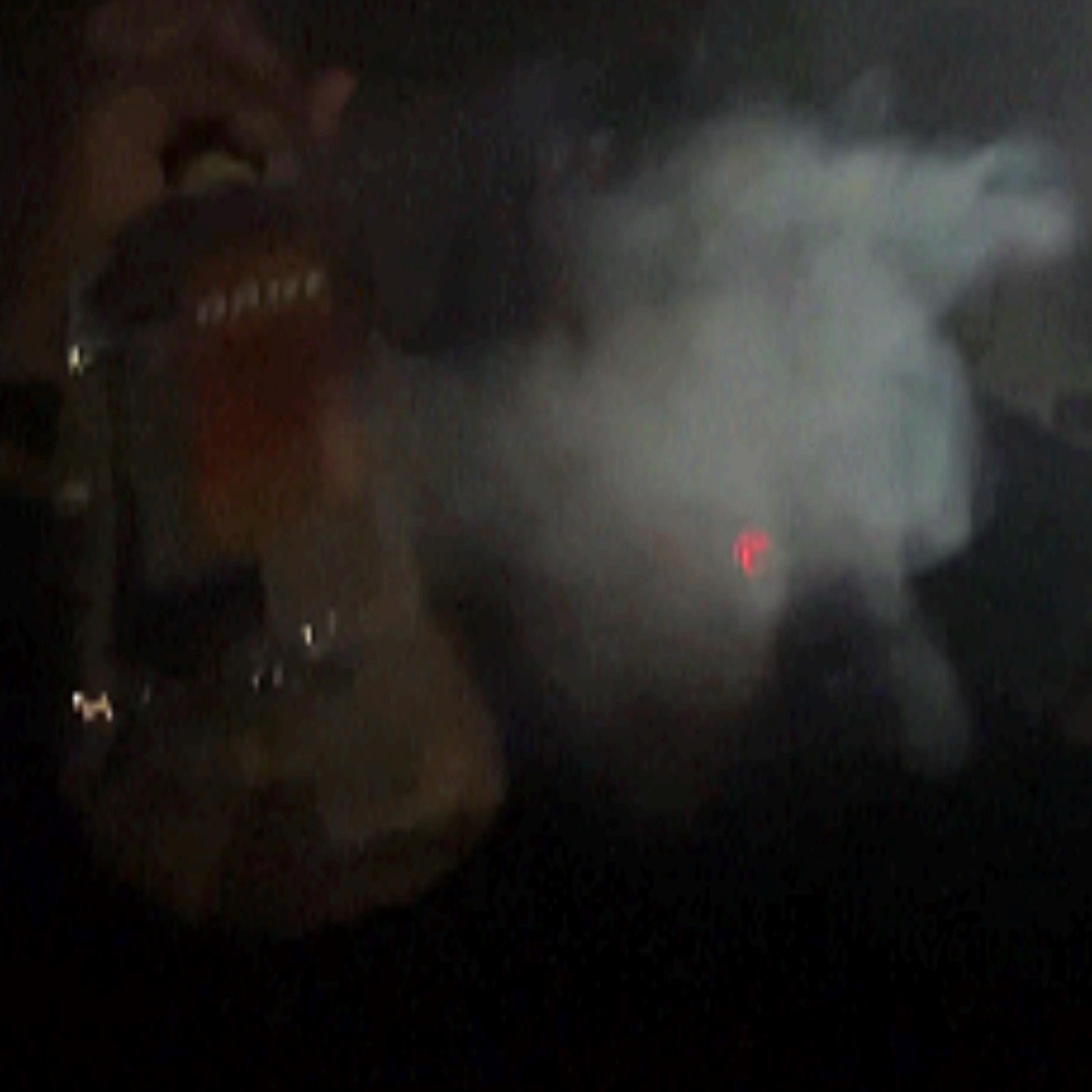 Fawkk (White Boy Wasted) artwork
