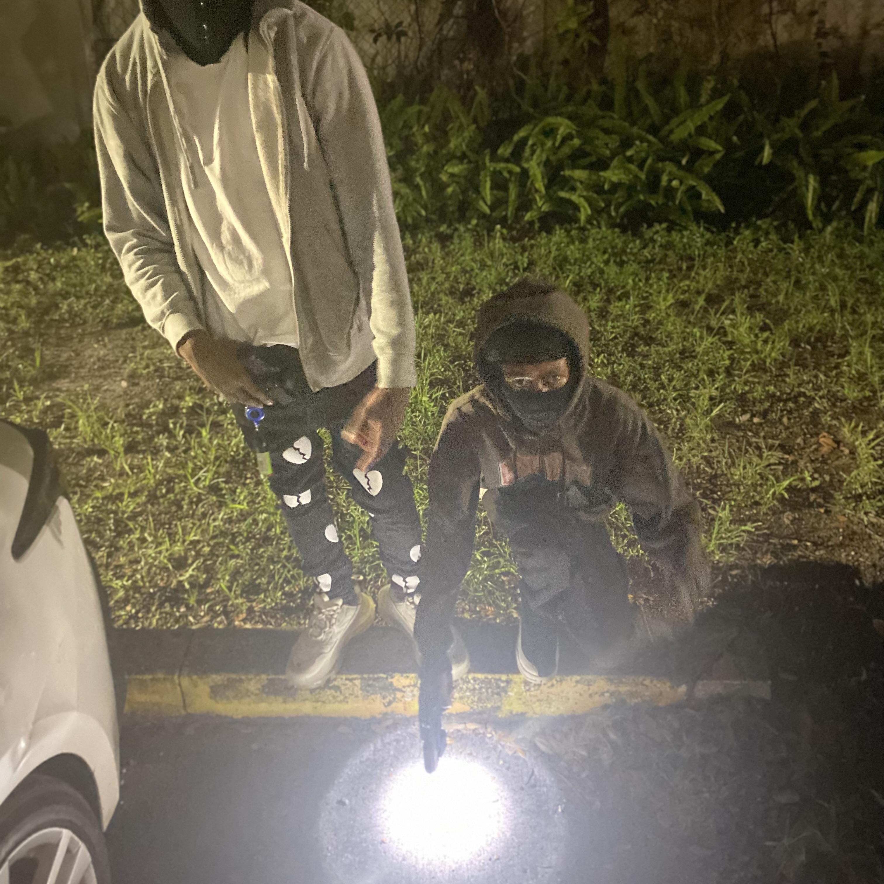 Mental Asylum Freestyle artwork