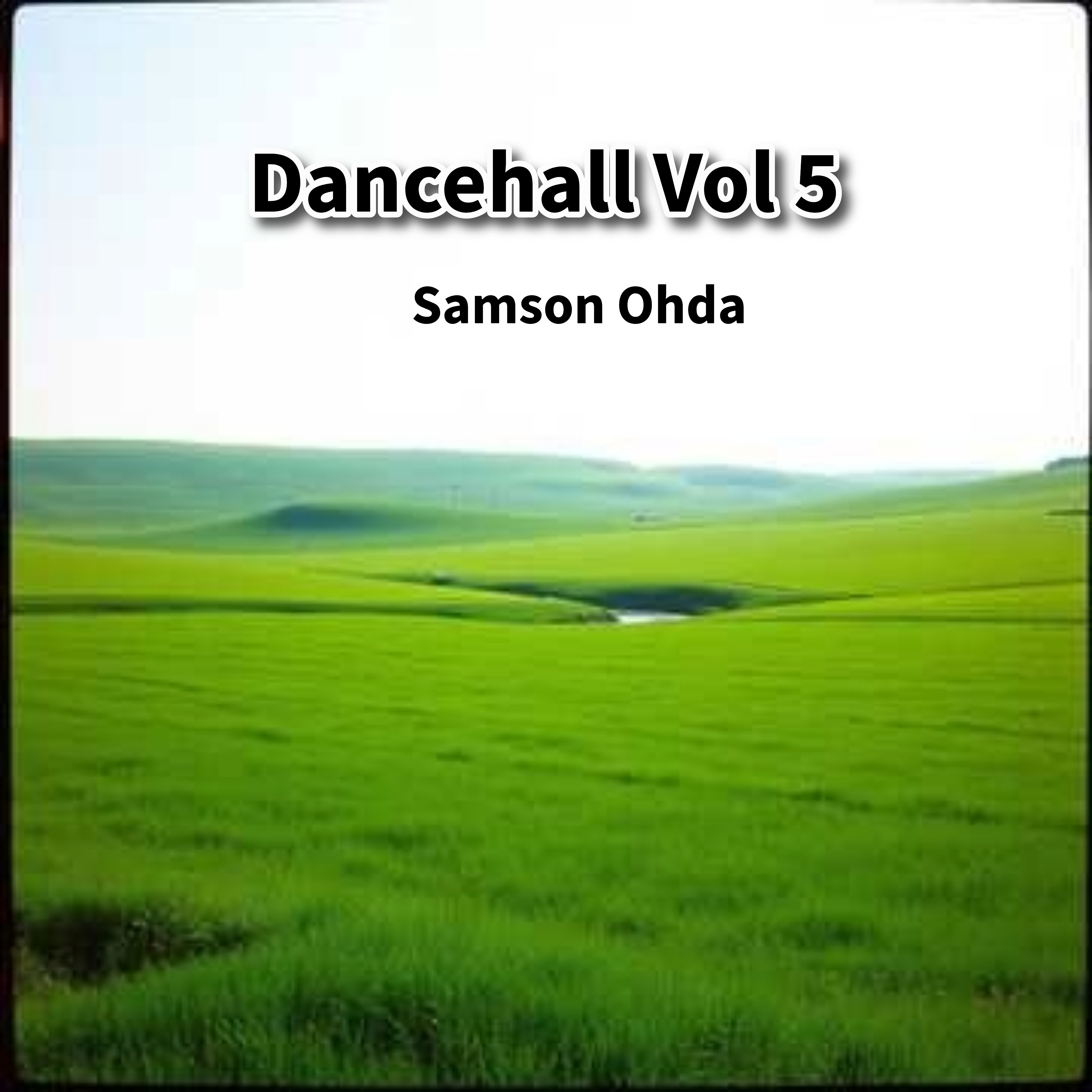 Dancehall Vol 5 Album artwork