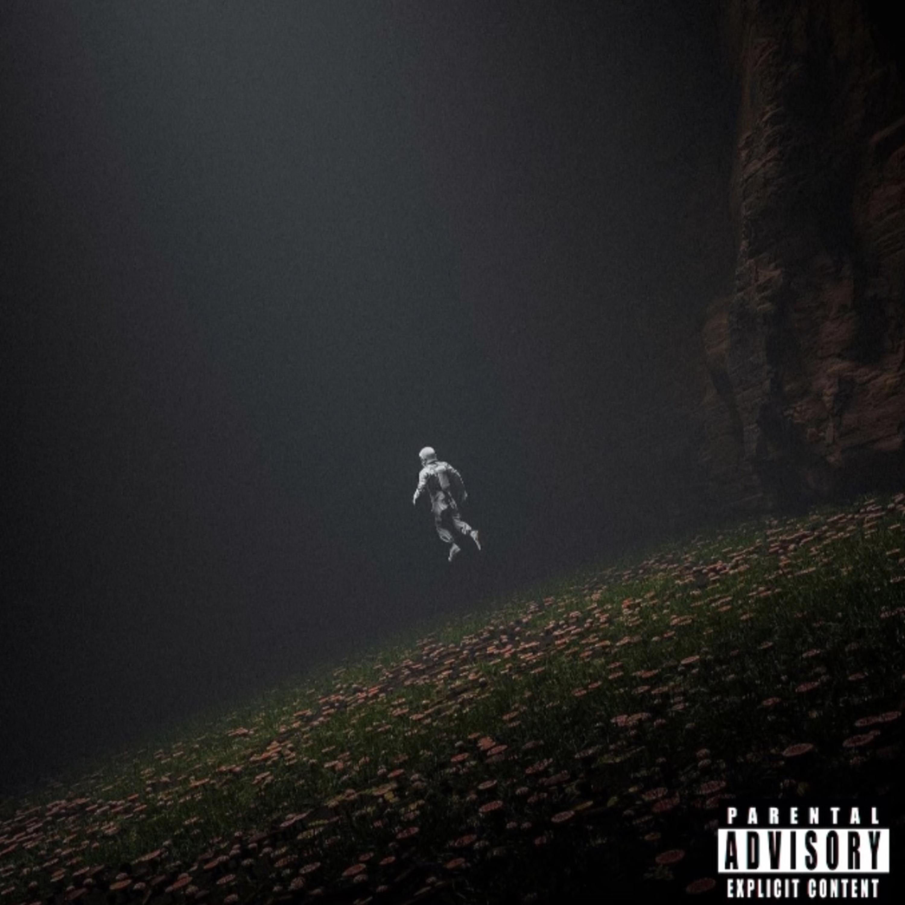 Vulnerable artwork