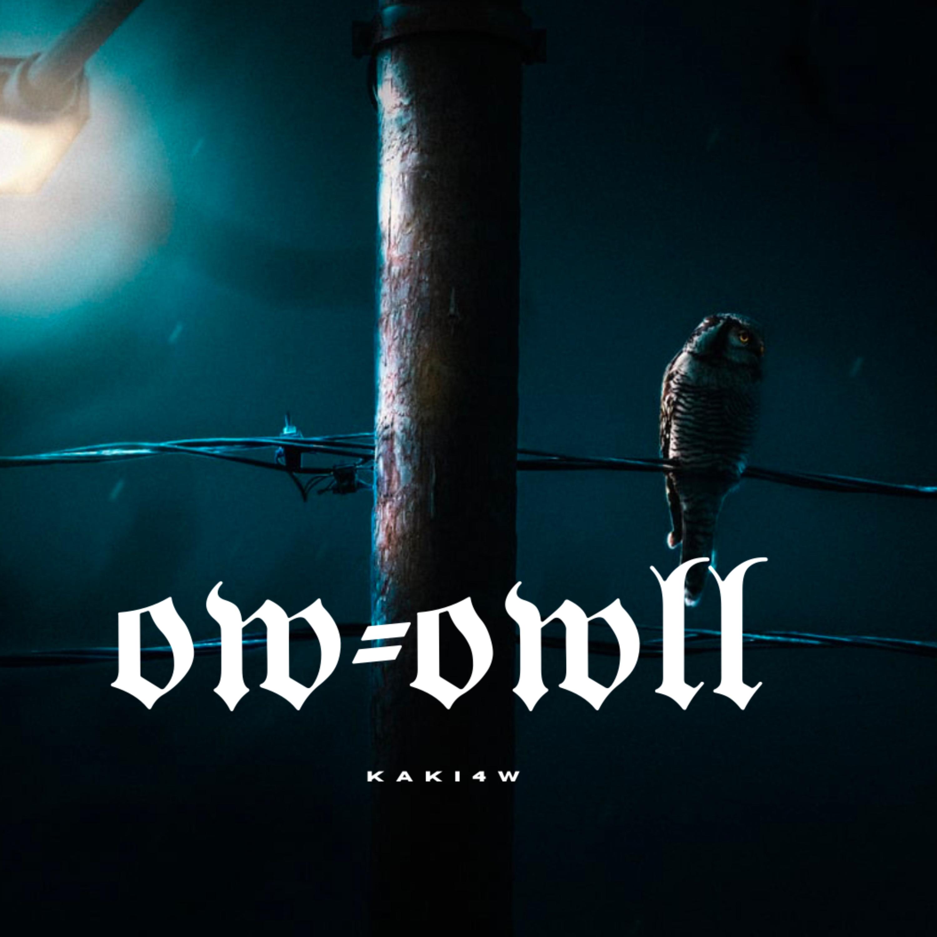 Ow-owll 2 artwork