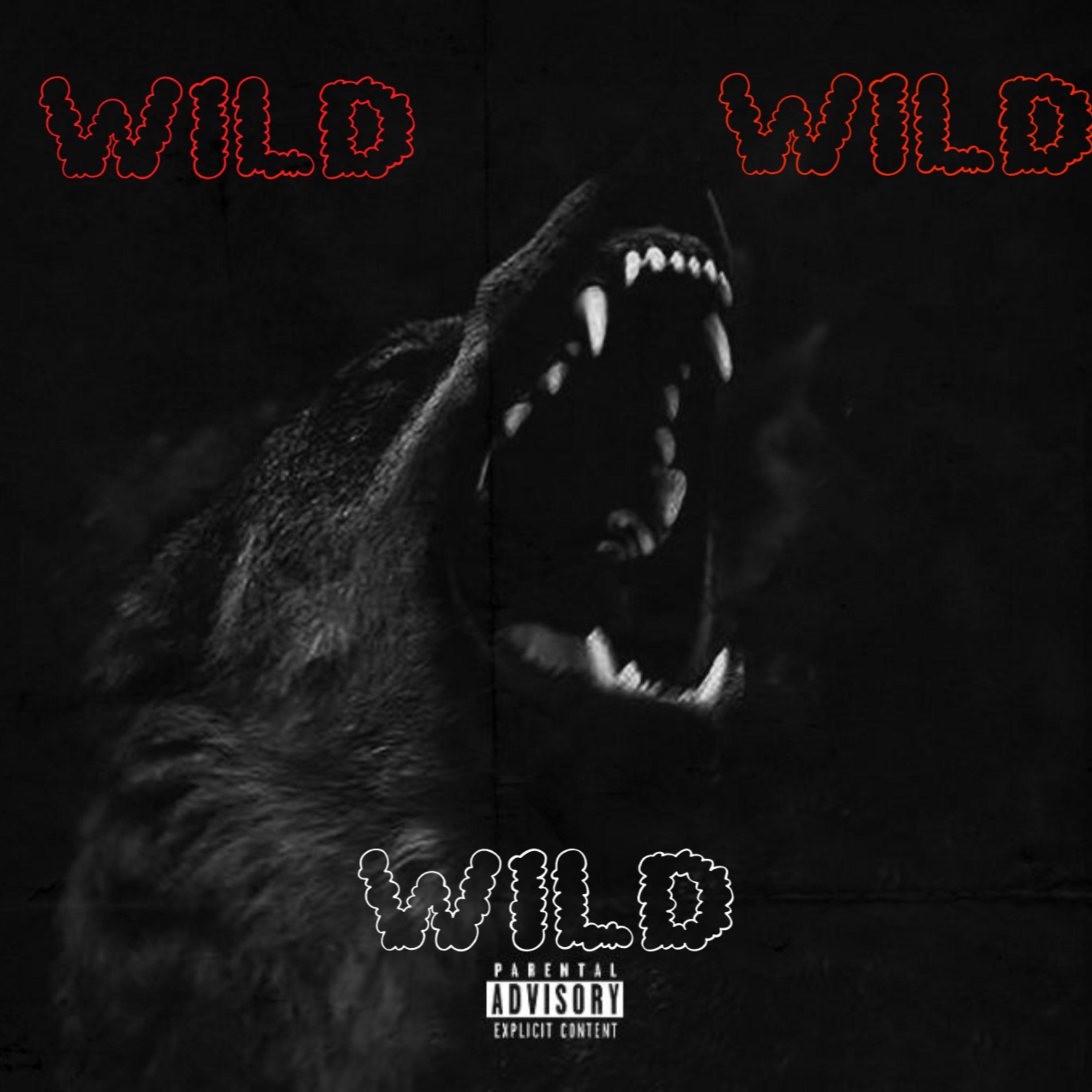 Wild Wild Wild artwork