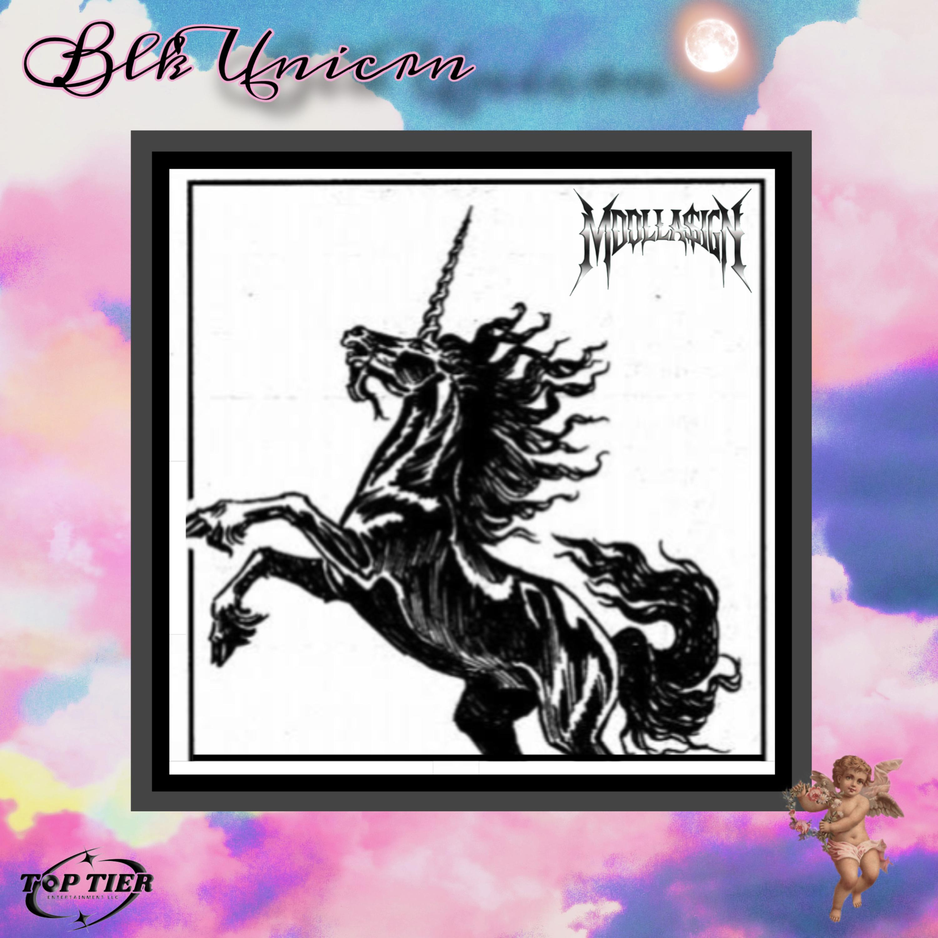 Blk Unicrn artwork