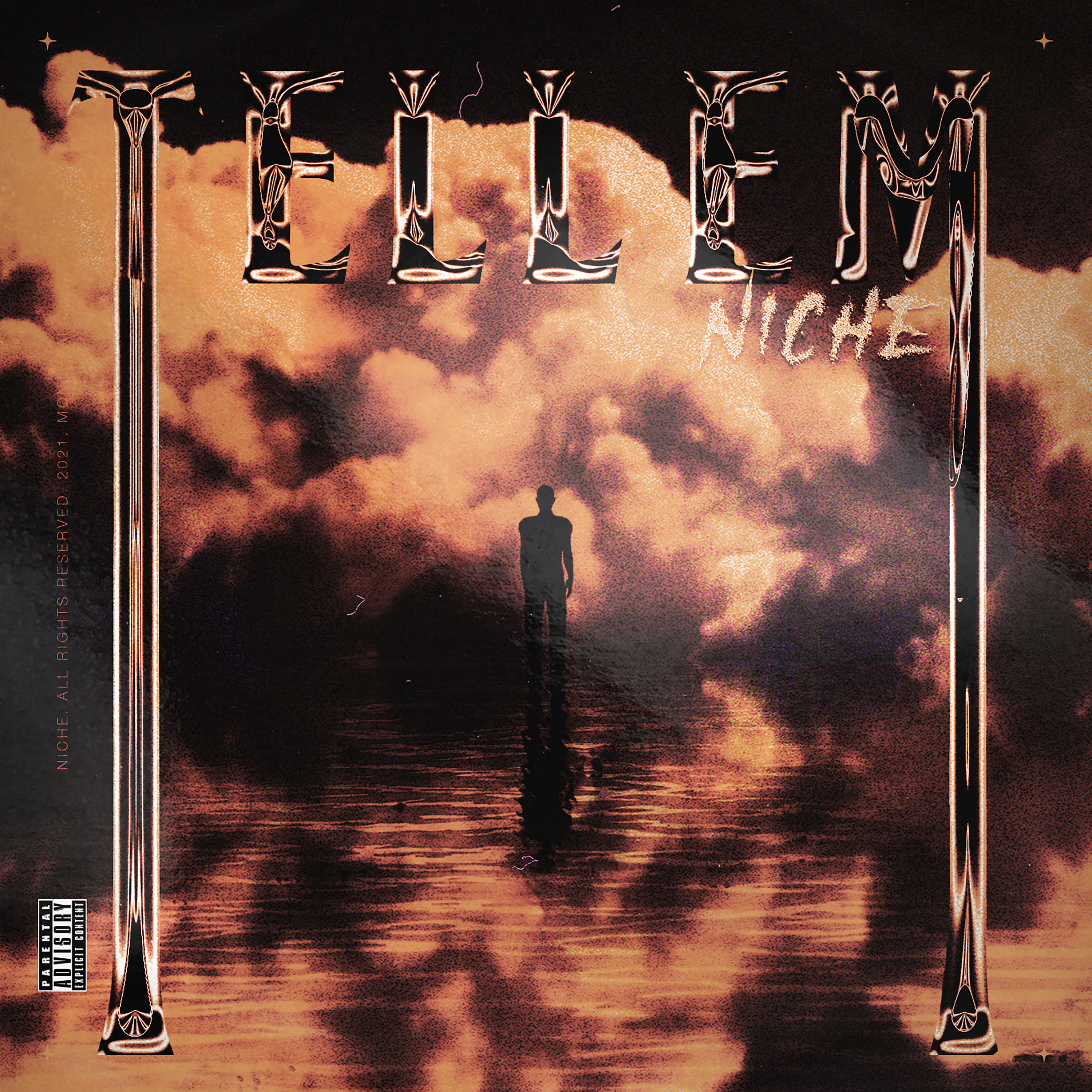 Tell Em by Niche