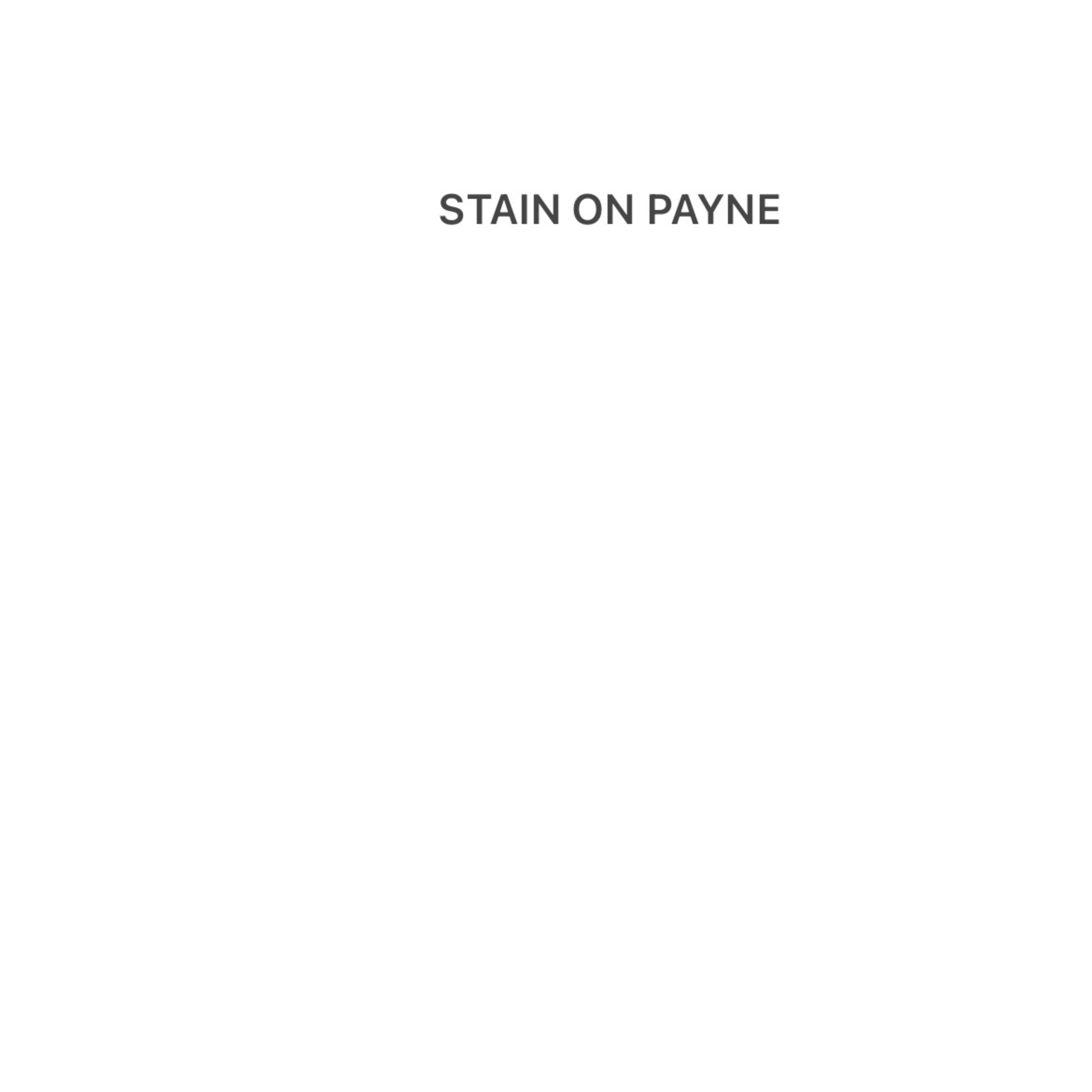STAIN ON PAYNE artwork