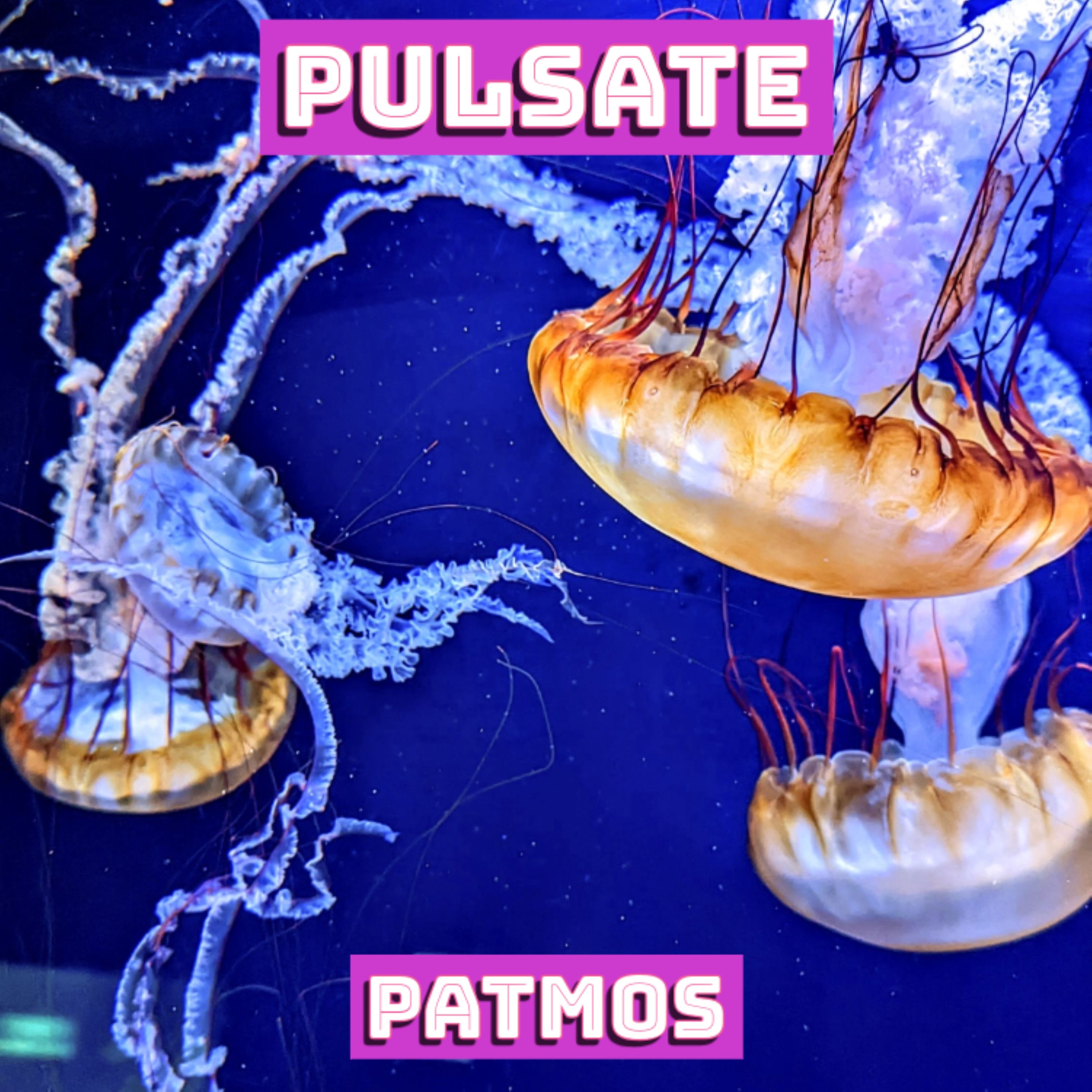 PULSATE artwork
