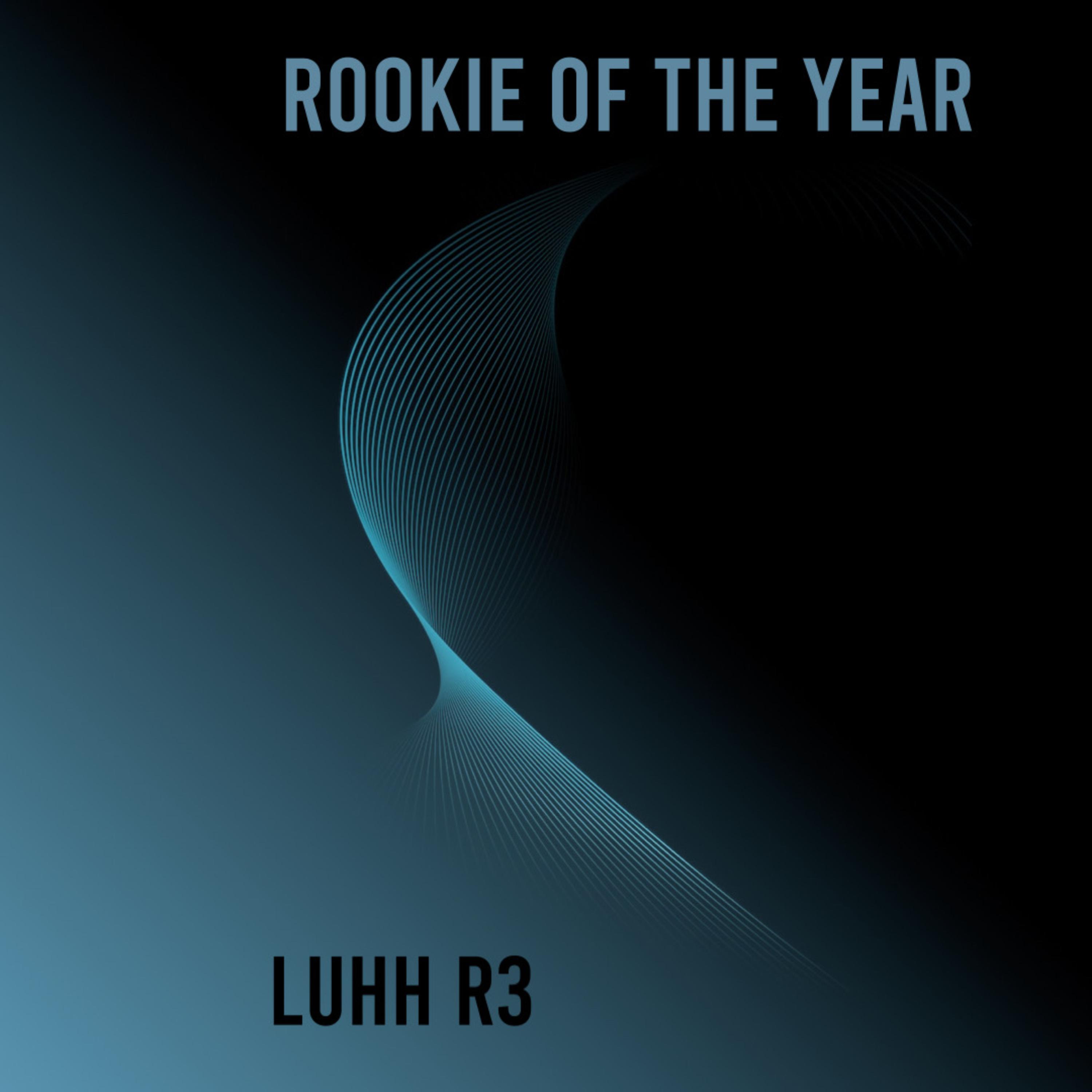 Rookie Of The Year artwork