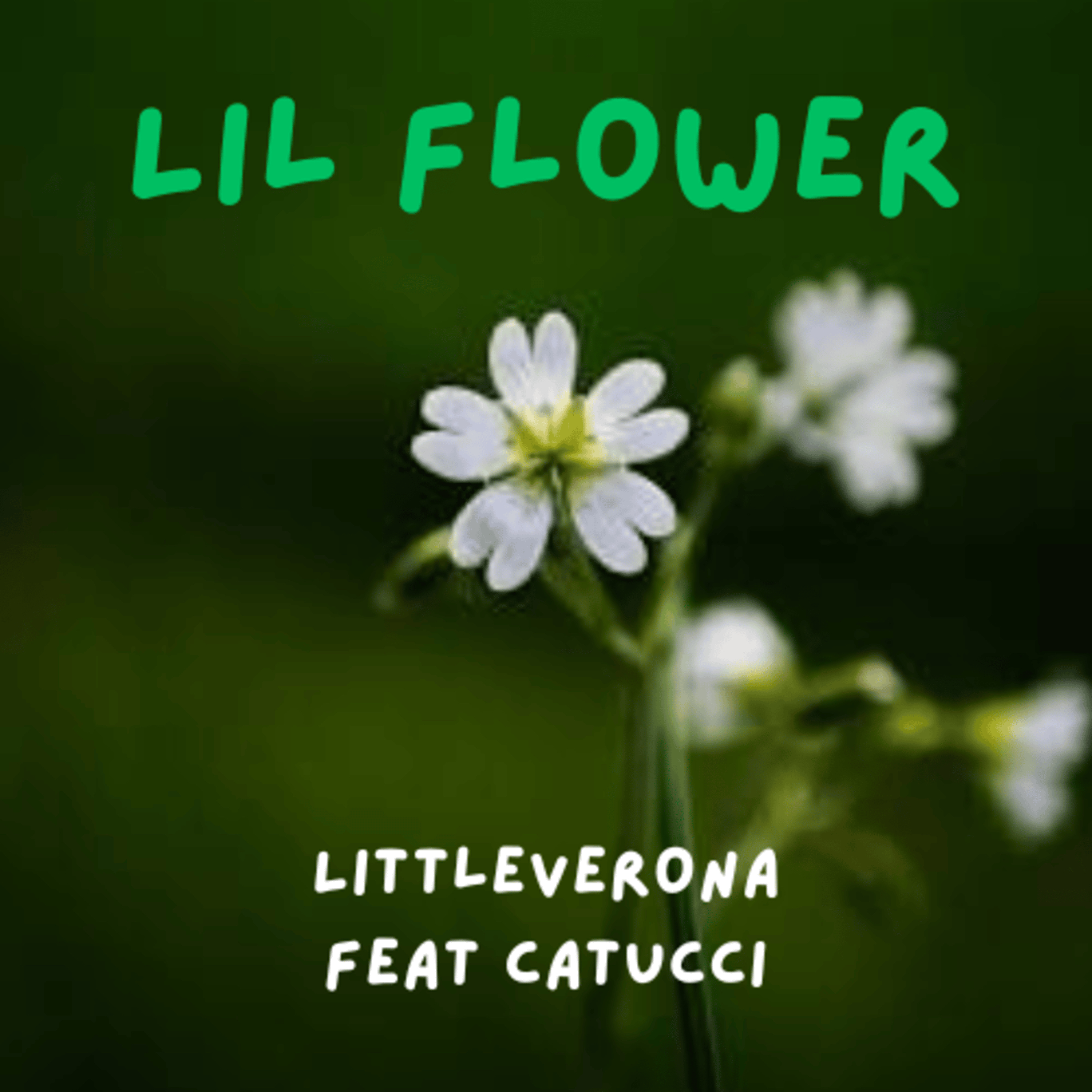 Lil Flower artwork