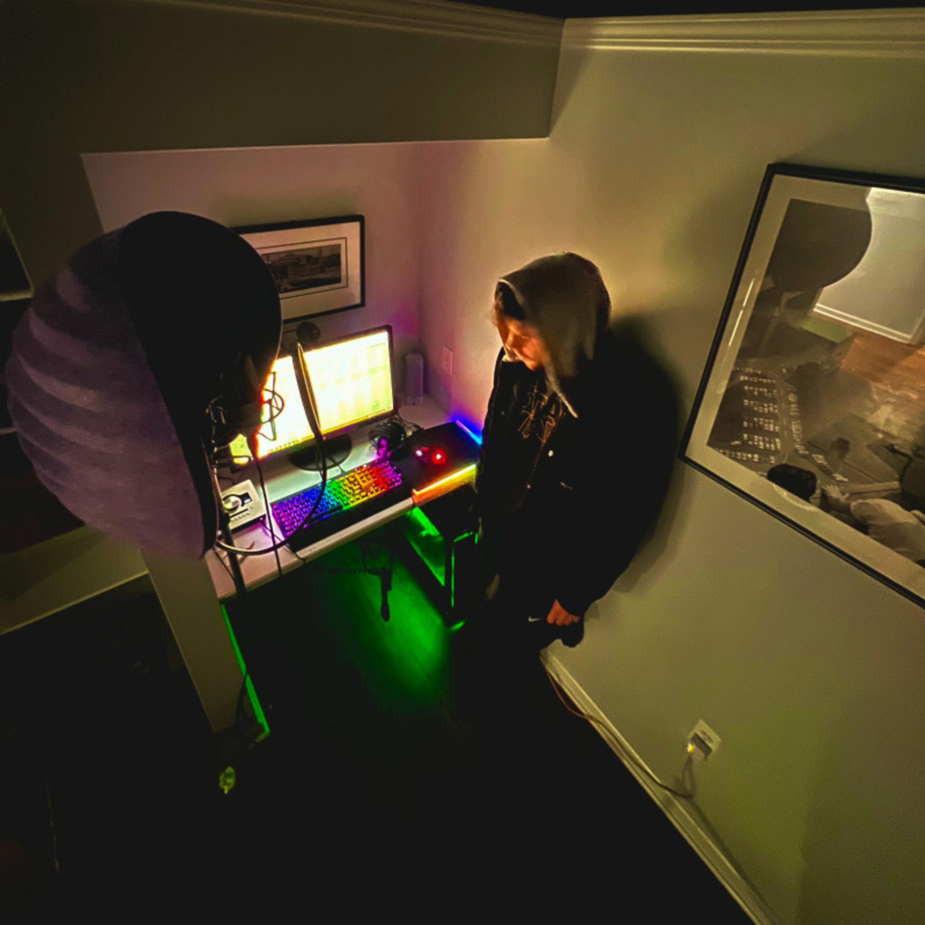 i'm going insane & you are too artwork