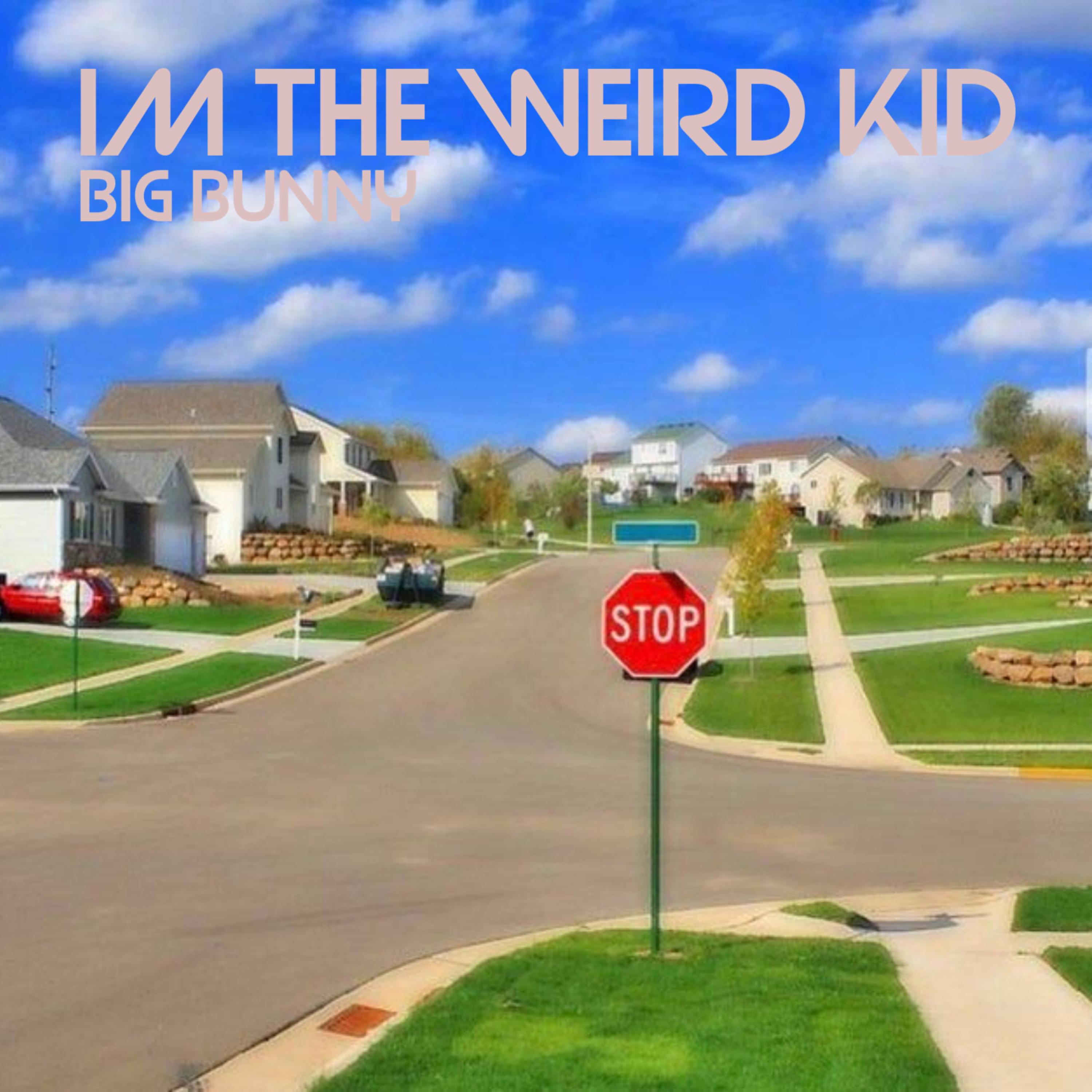 I'm The Weird Kid artwork