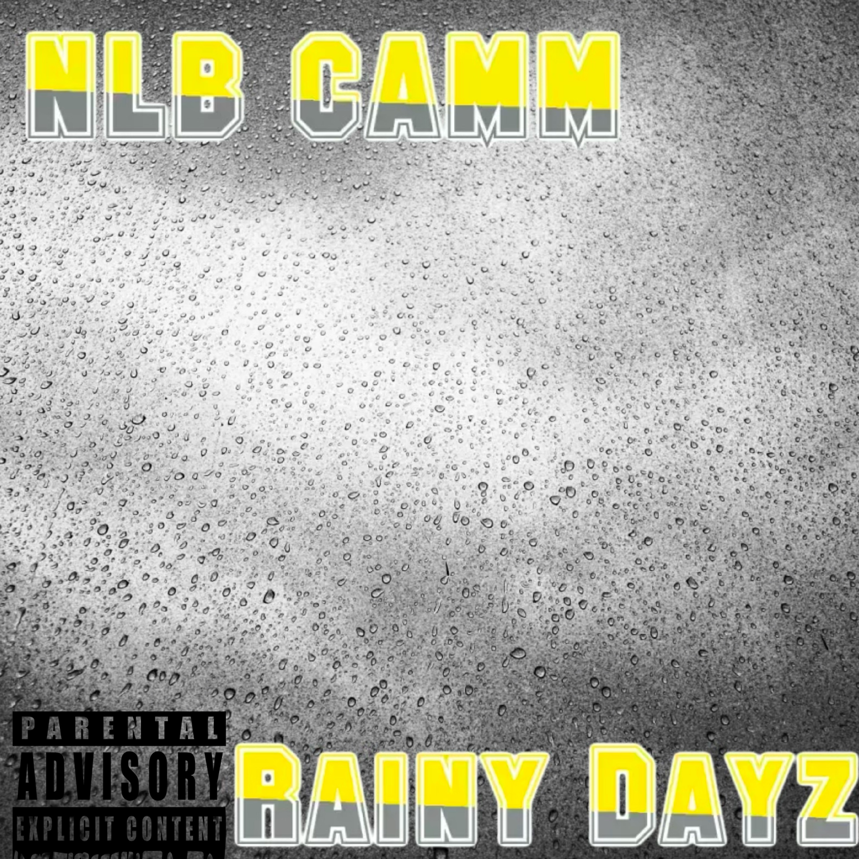 Rainy Dayz artwork