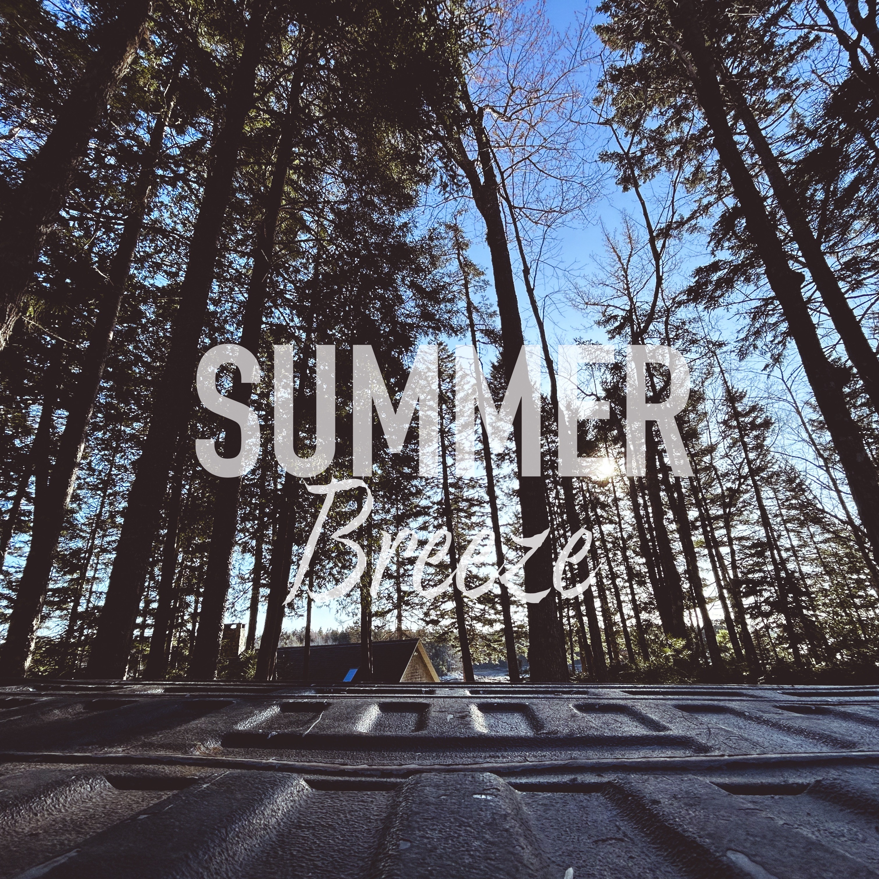 Summer Breeze artwork