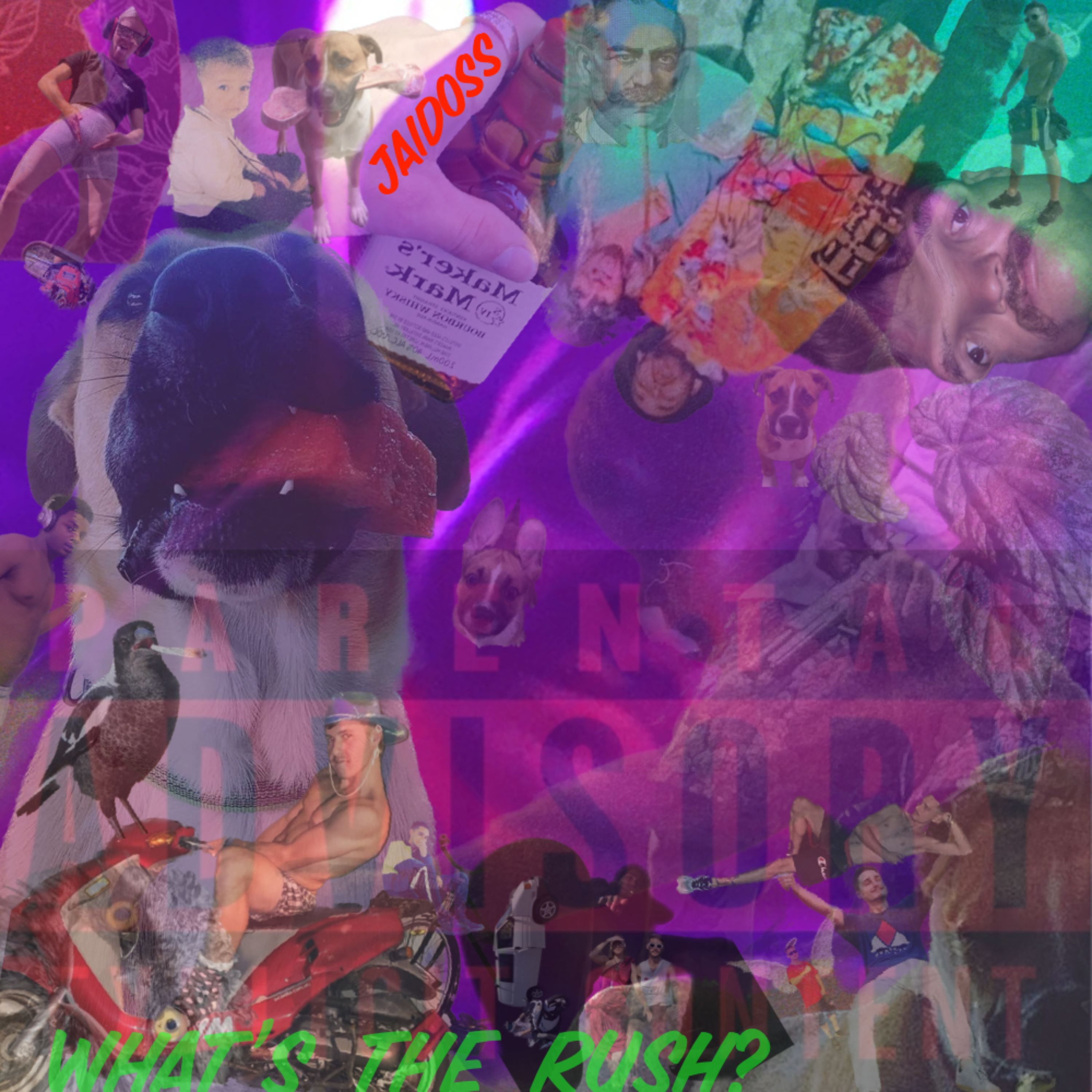 Whats The Rush? artwork