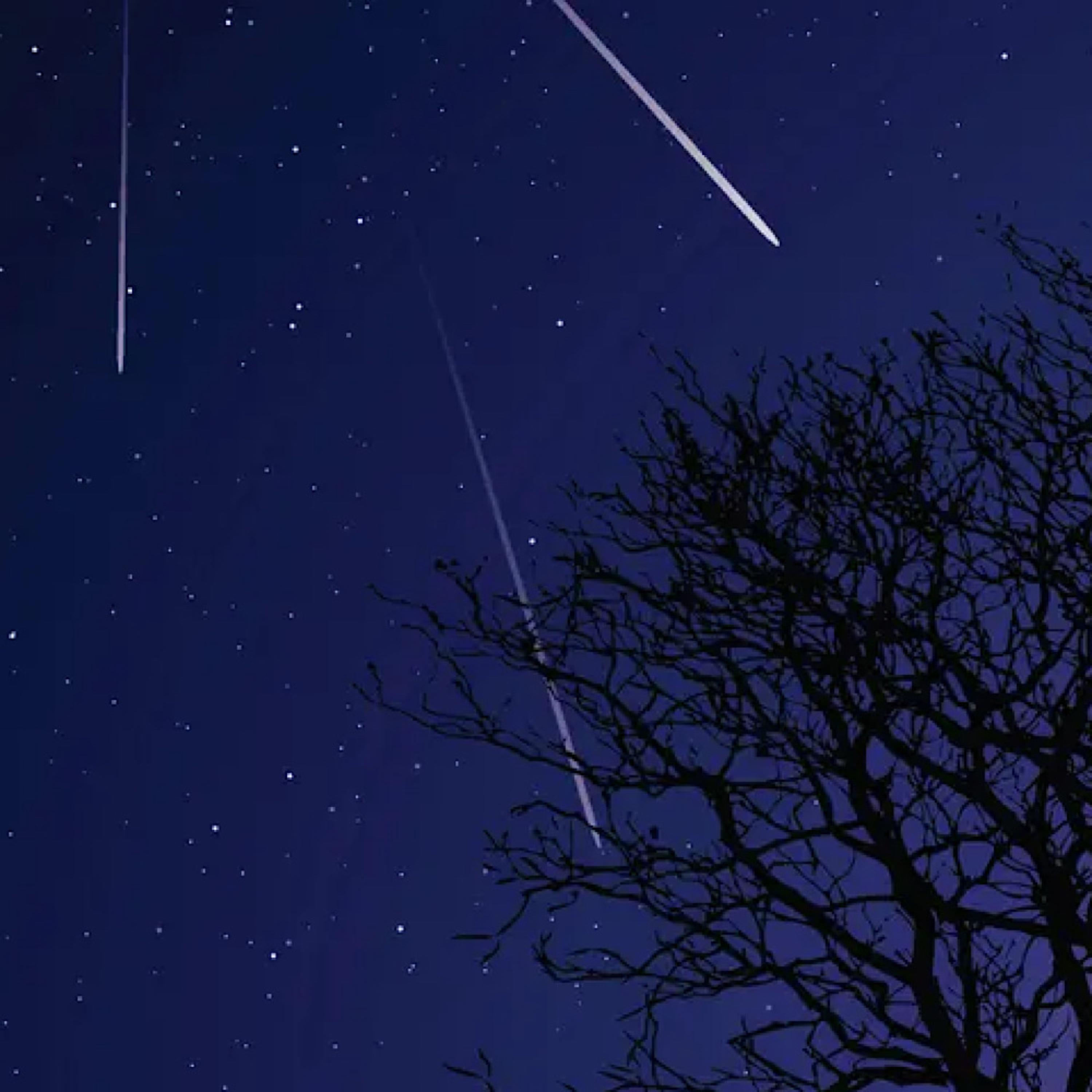 Make A Wish artwork