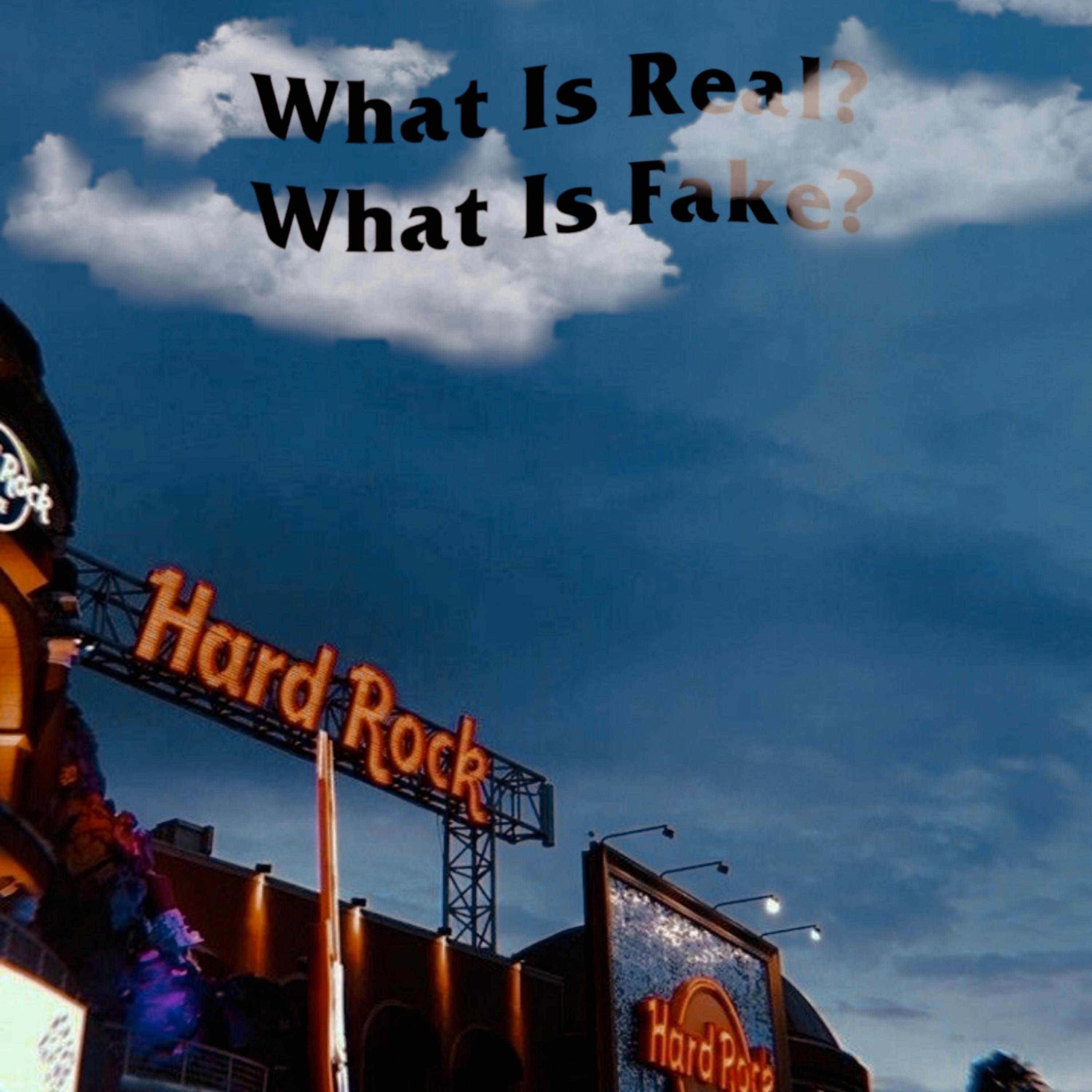 What Is Real? What Is Fake? artwork