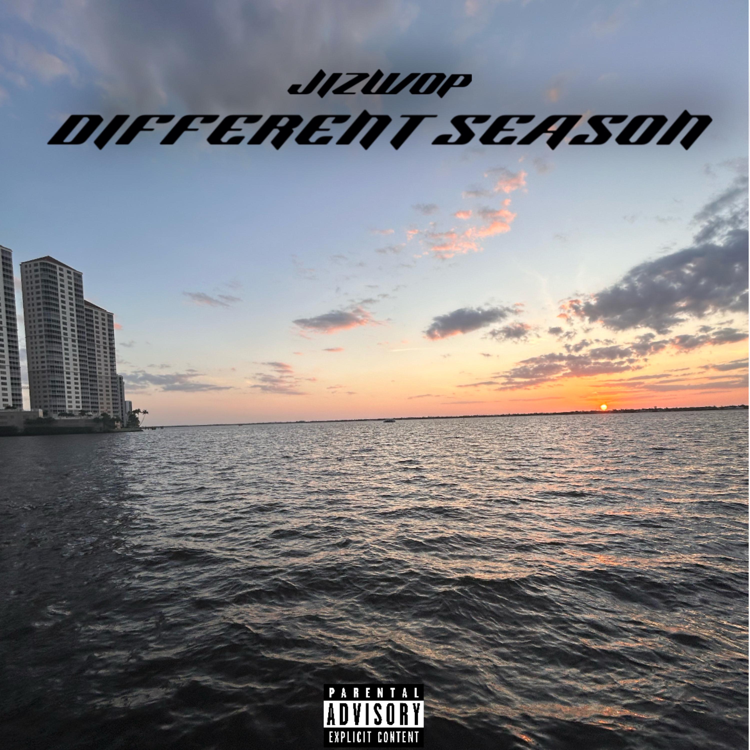 DIFFRENT SEASON artwork